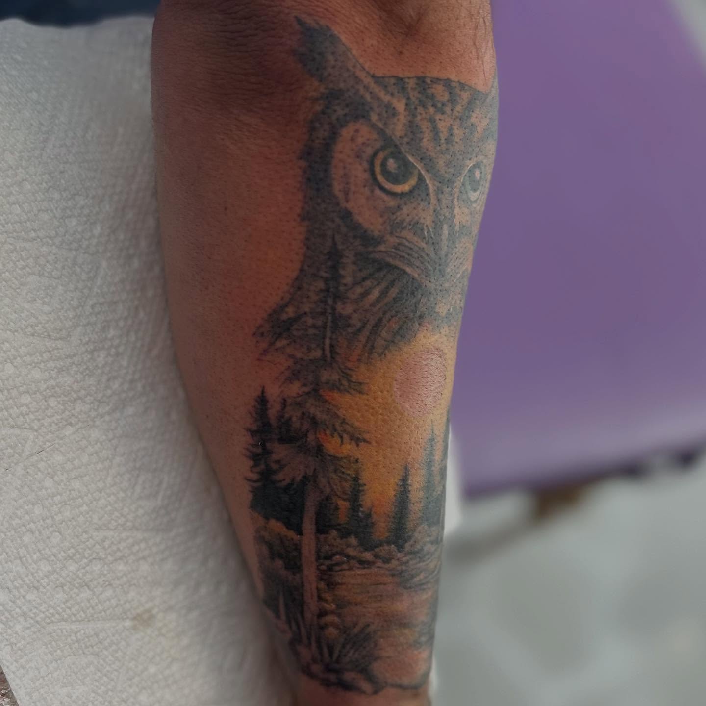 Owl realism tattoo on the forearm by Abby Watts, Columbus, Ohio