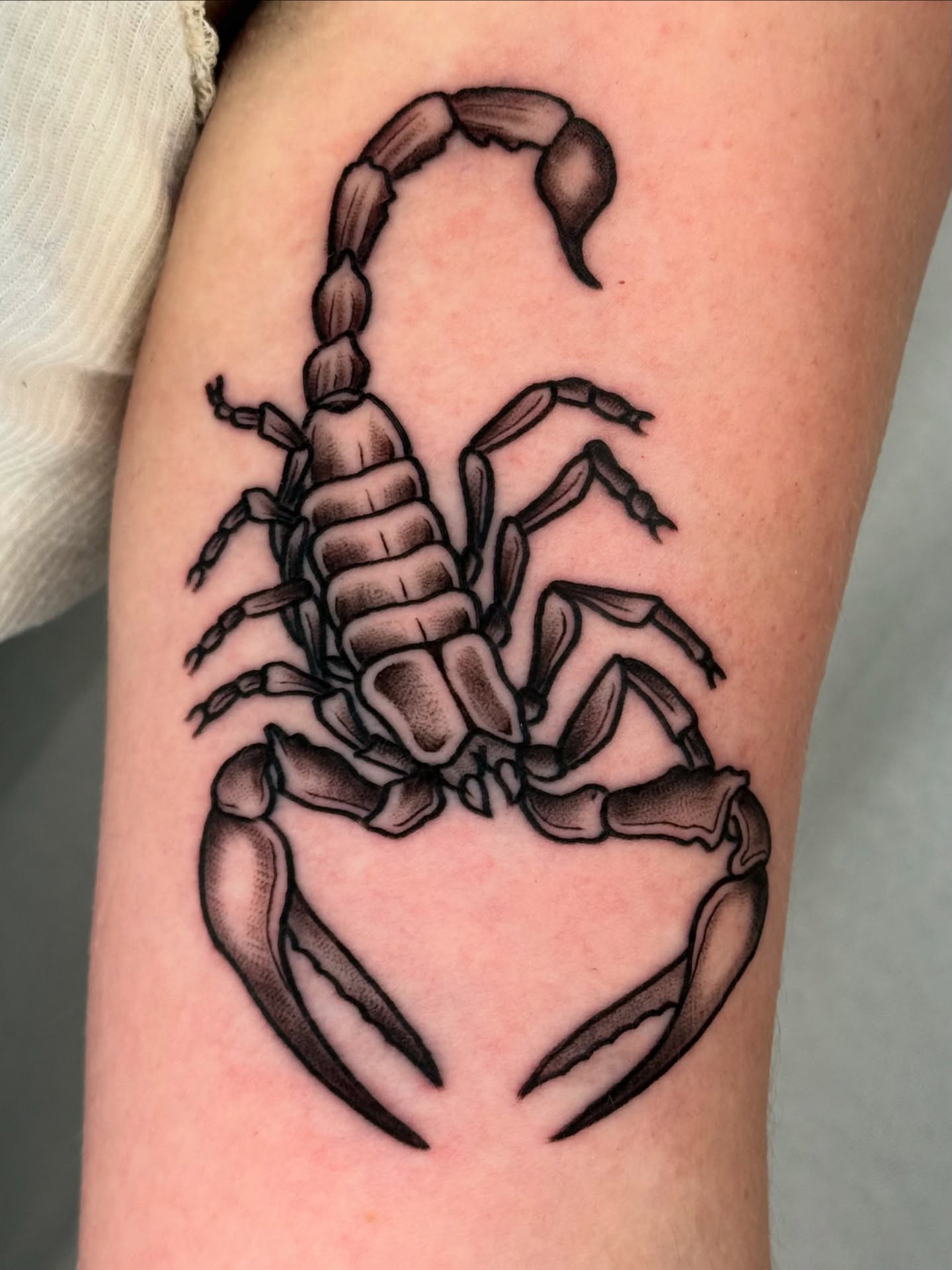 Scorpion black and grey tattoo on the forearm by Cooper