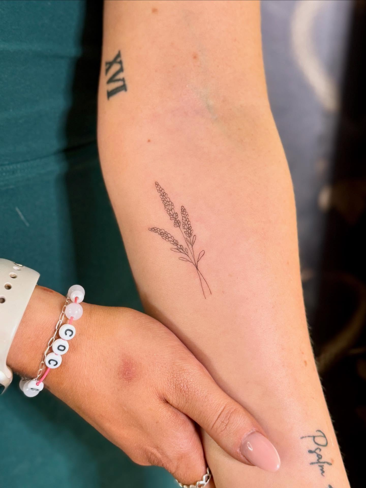 Lavender plant fine line tattoo on the forearm by Fineline Tattoos π€ Hailey L.