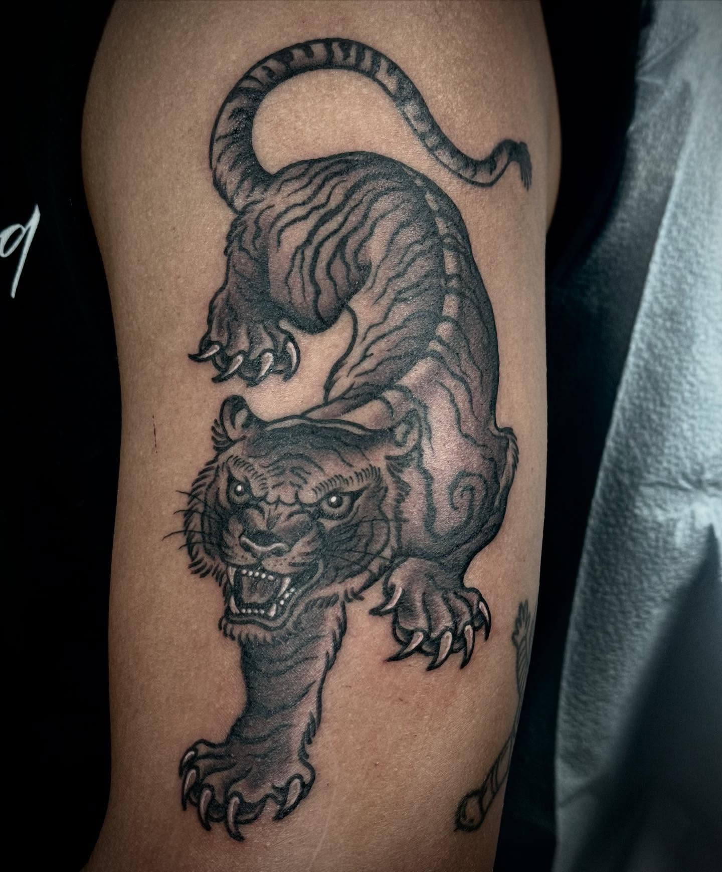 Tiger black and grey tattoo on the forearm by Ally noel