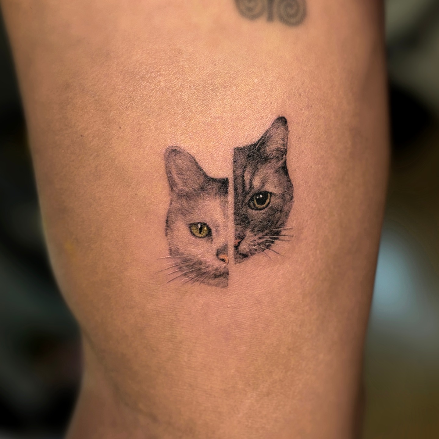 Tattoo by @dasom_real — realism