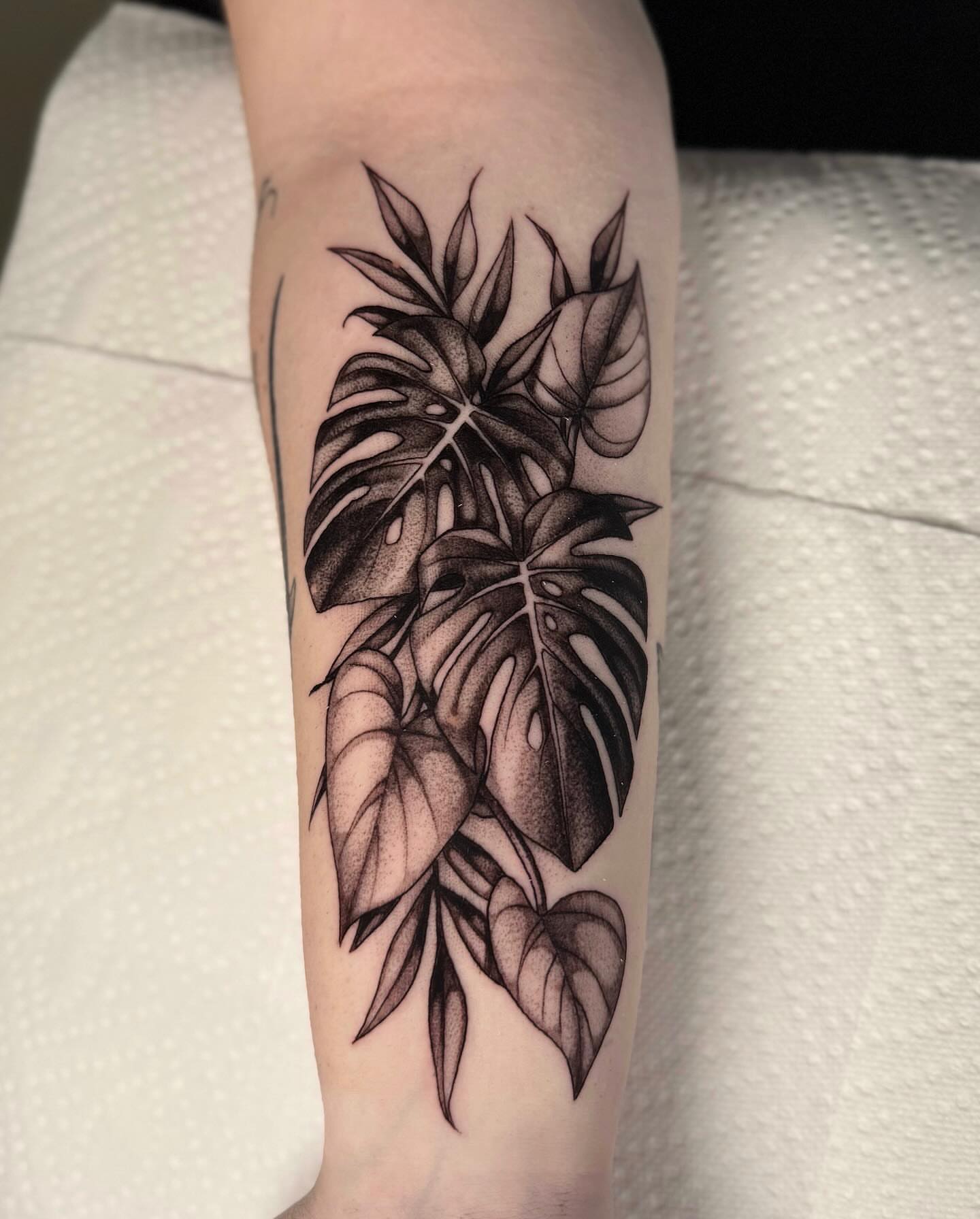 Monstera leaves dotwork tattoo on the forearm by jada