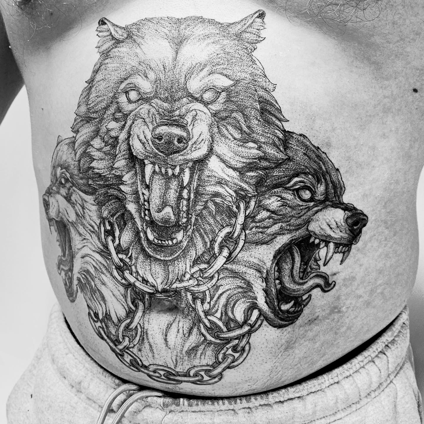 Angry wolves dotwork tattoo on the ribs by Matthew Barnett