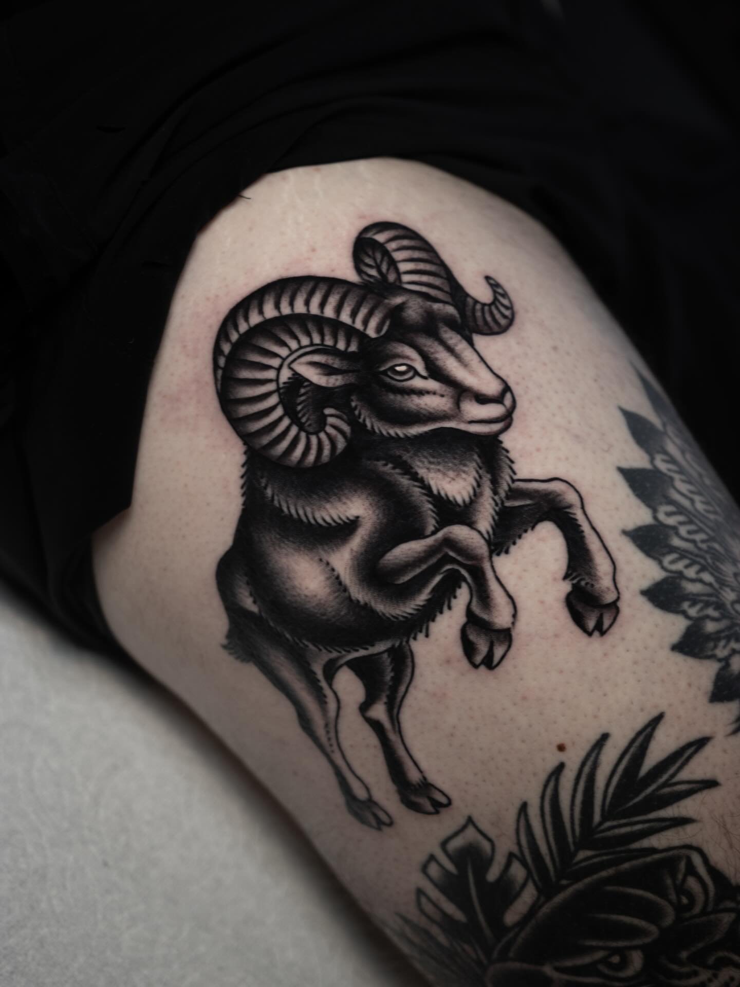 Ram black and grey tattoo on the thigh by Danny Derrick, San Luis Obispo, California