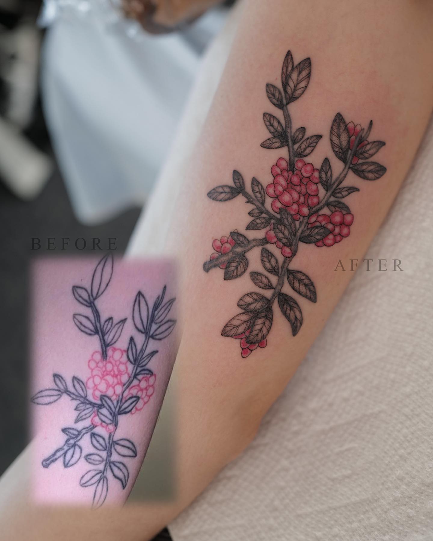 Berry branch black and grey tattoo on the forearm by Jason Lu ✪