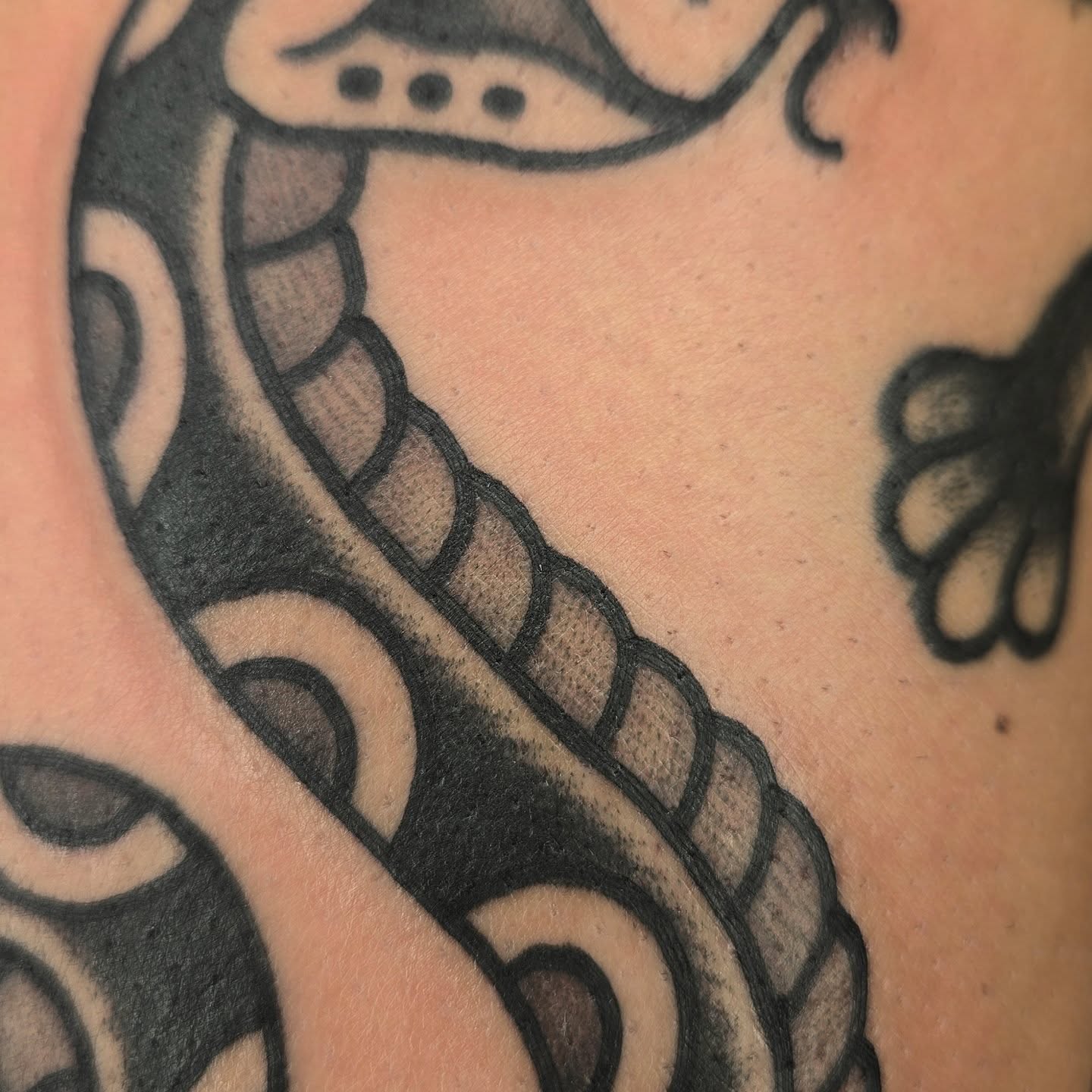 Snake American traditional tattoo on the back by Deke Harms, Bend, Oregon