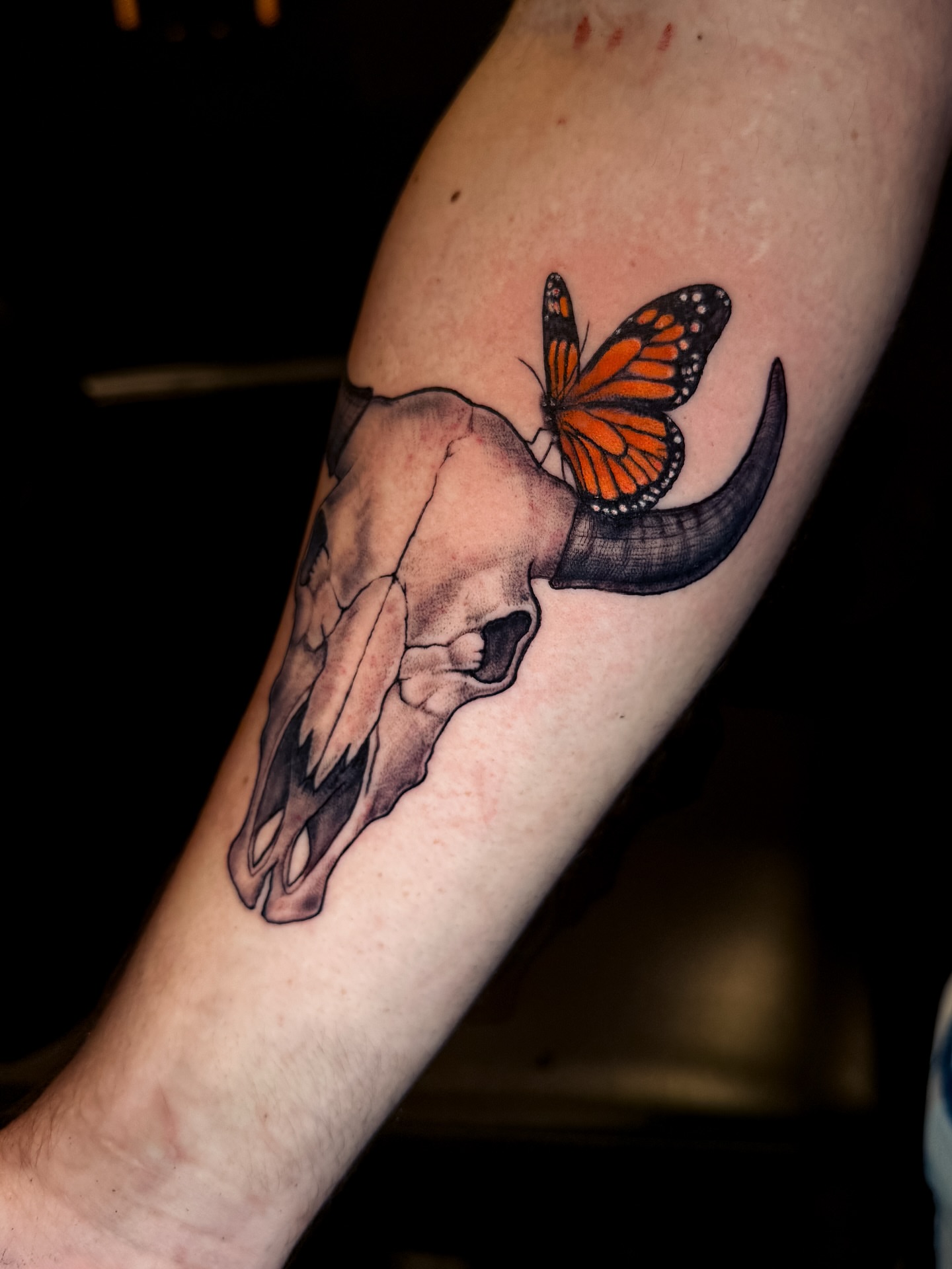 Bull skull and butterfly realism tattoo on the forearm by Brandt Norcross