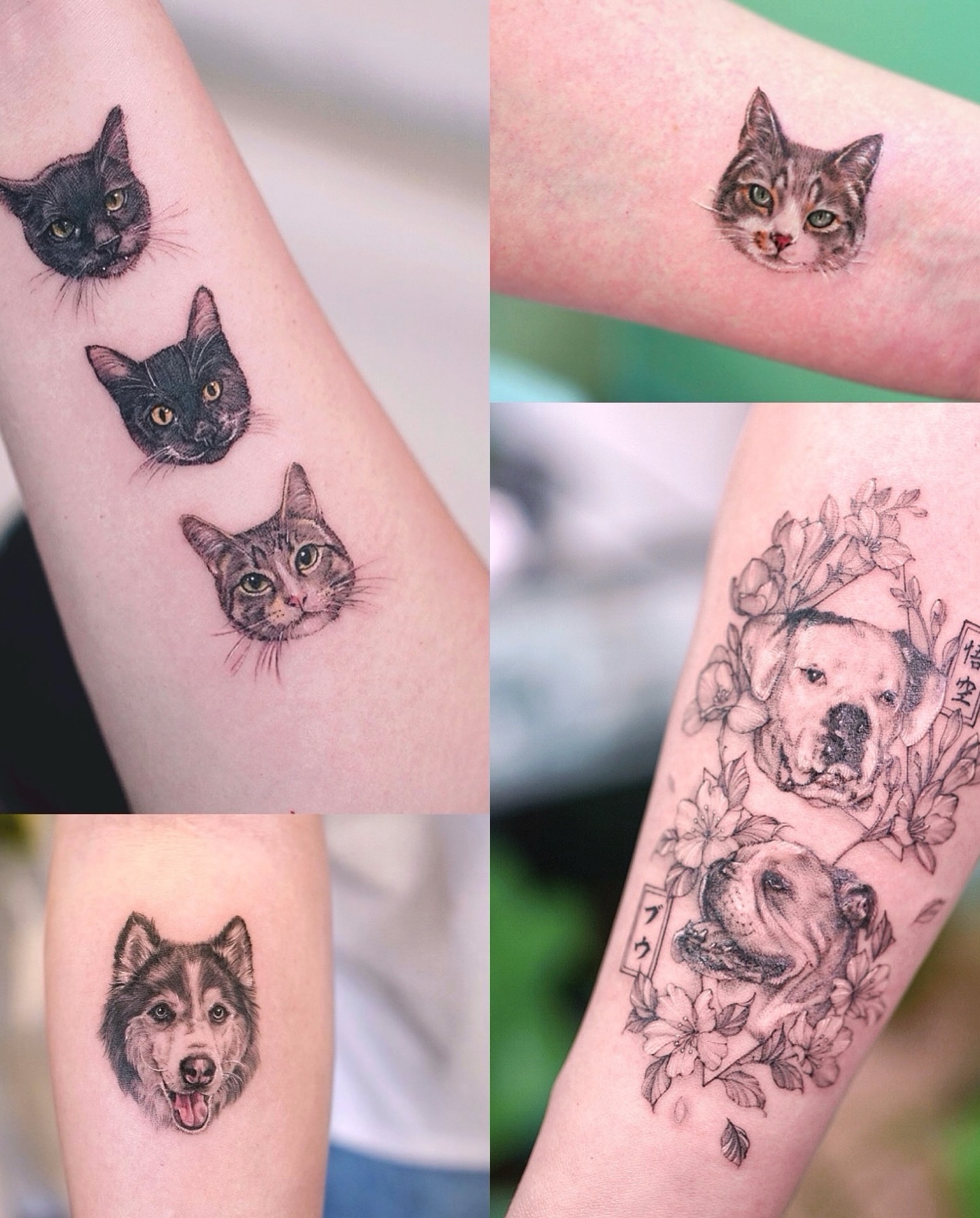 Cat heads realism tattoo on the forearm by Lily, Los Angeles, California