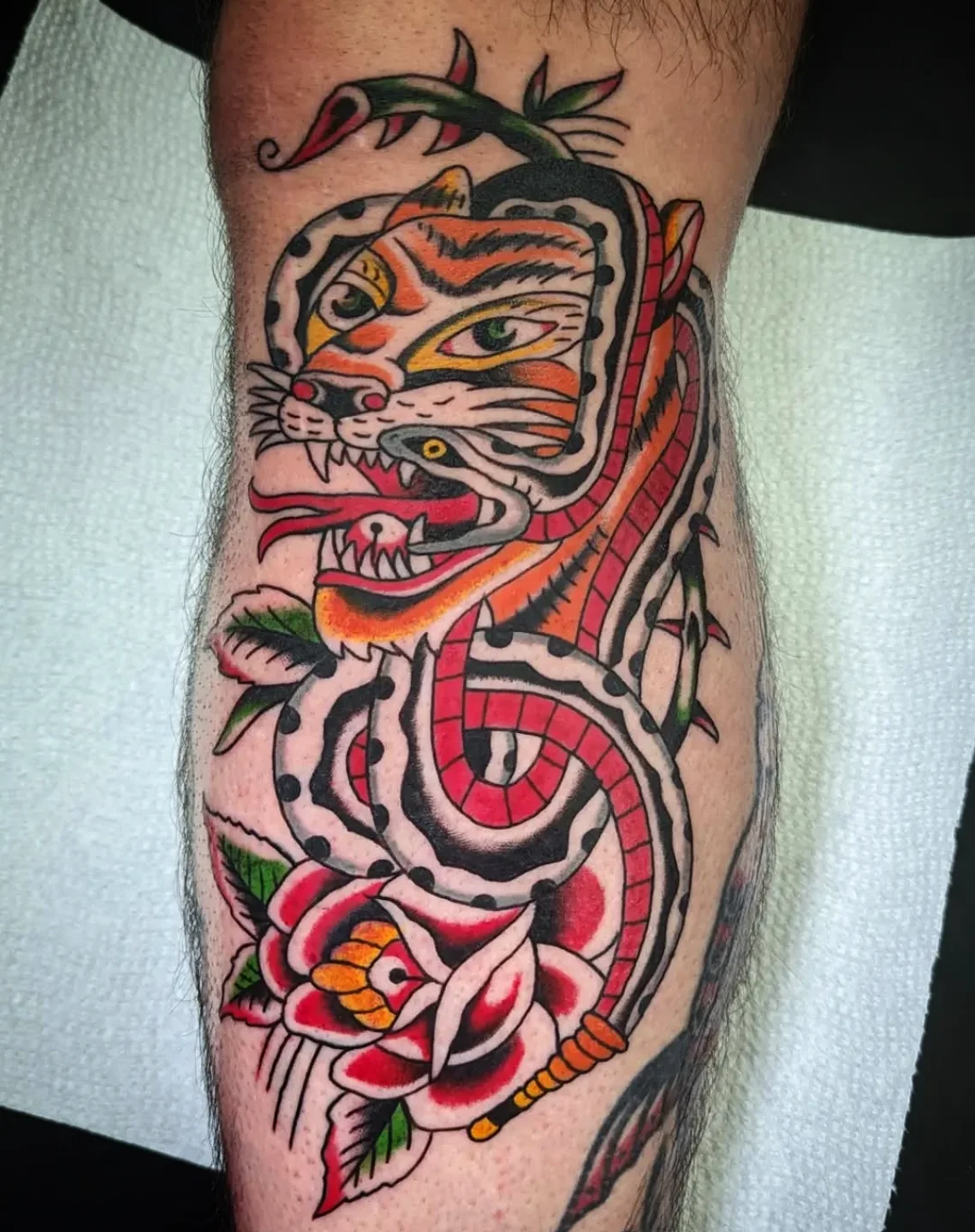 Tiger and rose American traditional tattoo on the forearm by joseph palladino