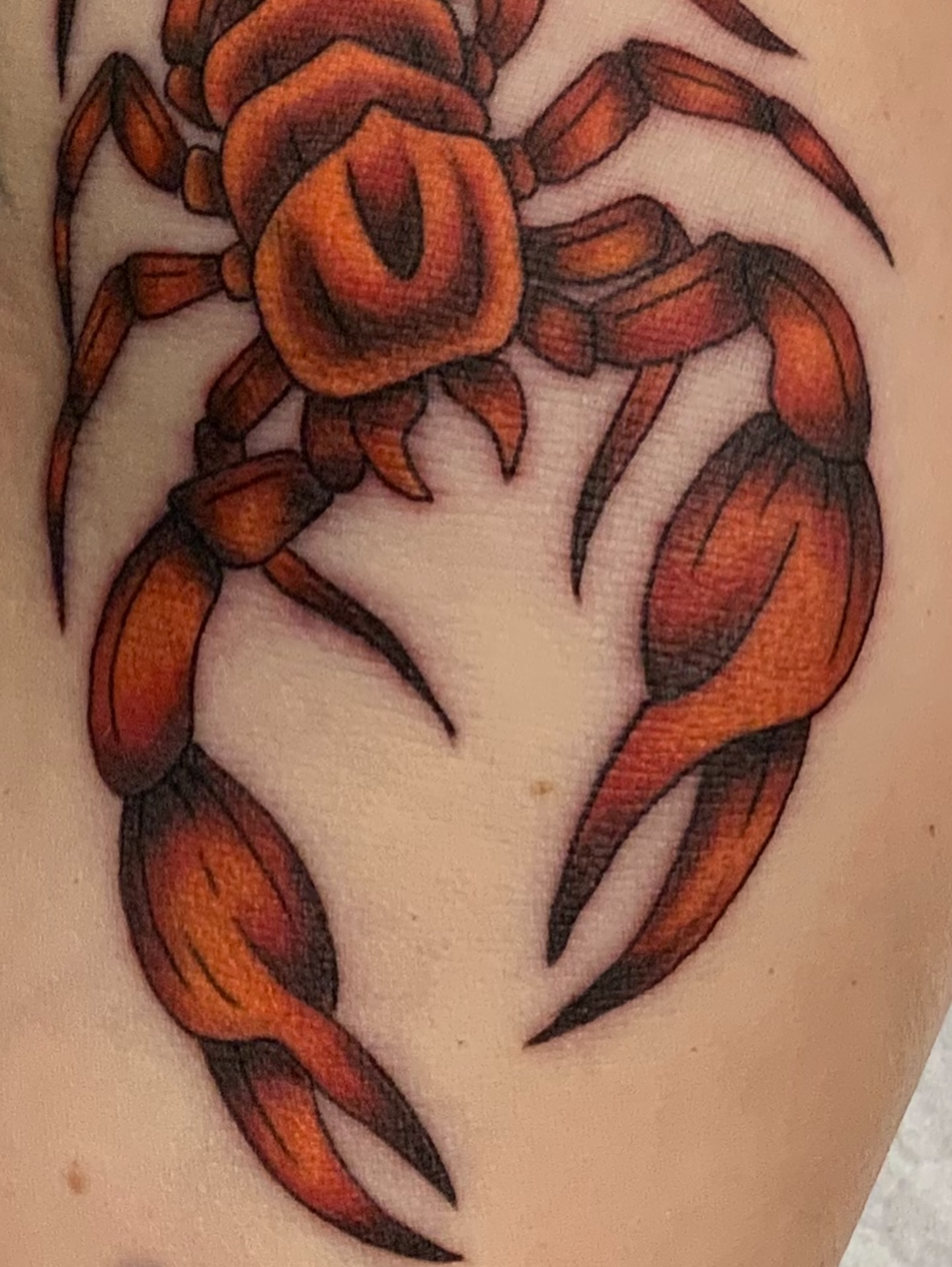 Scorpion American traditional tattoo on the upper arm by QUEEN TATTOO Stephanie Larson