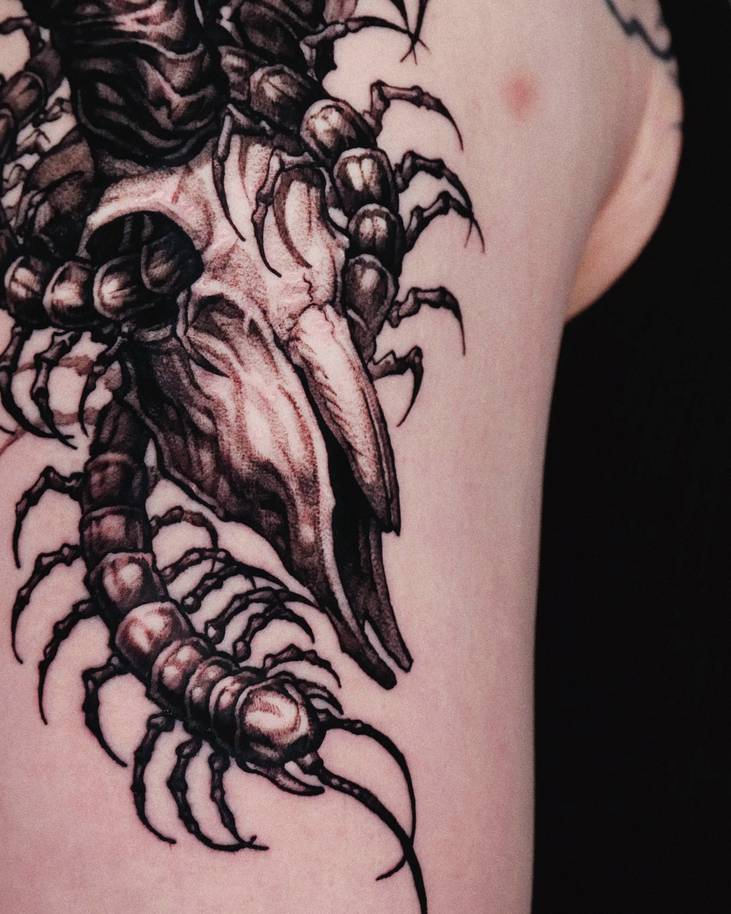 Centipede black and grey tattoo on the upper arm by 두식