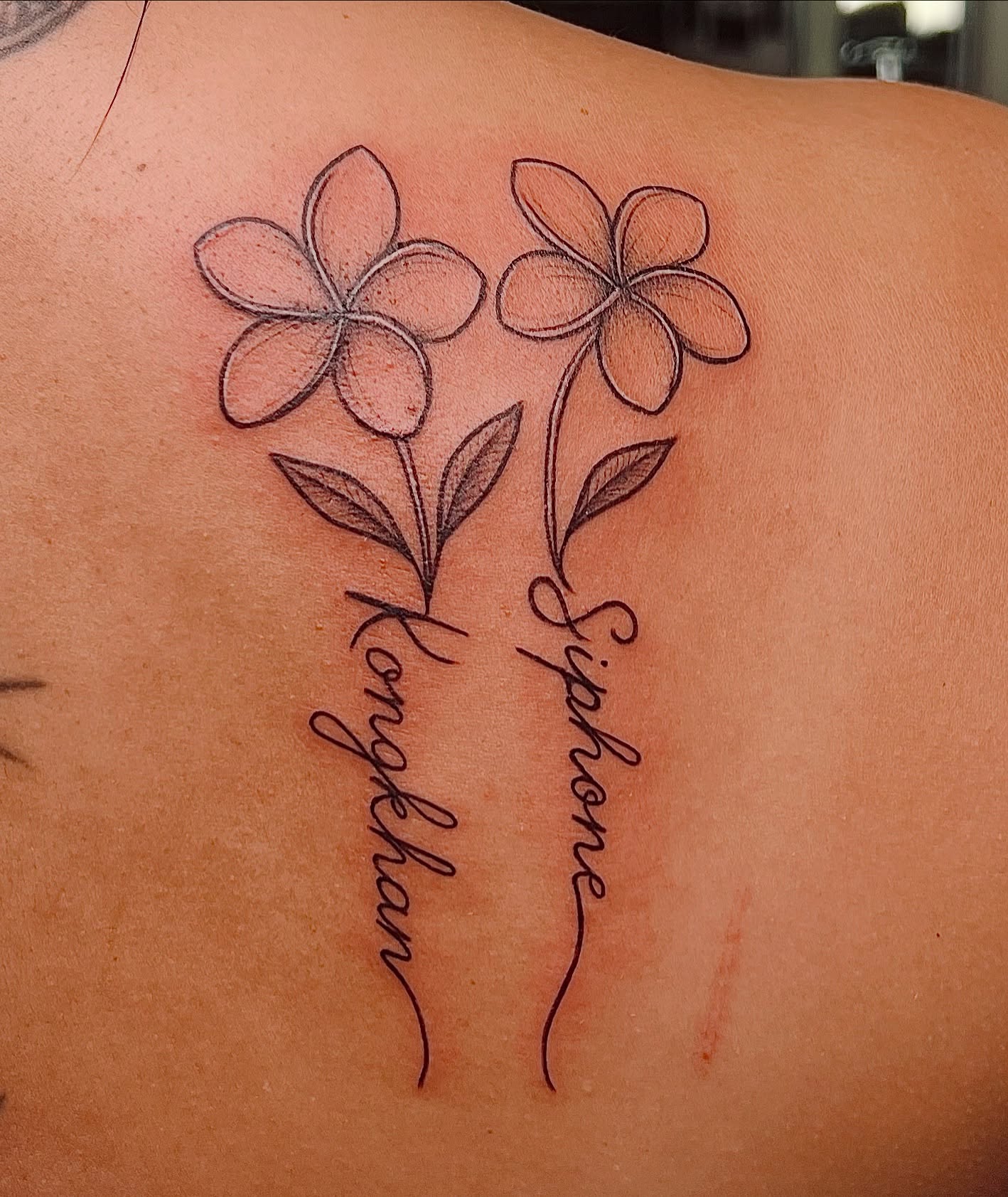Tattoo by @kittymarietattoos โ fine_line, black_and_grey