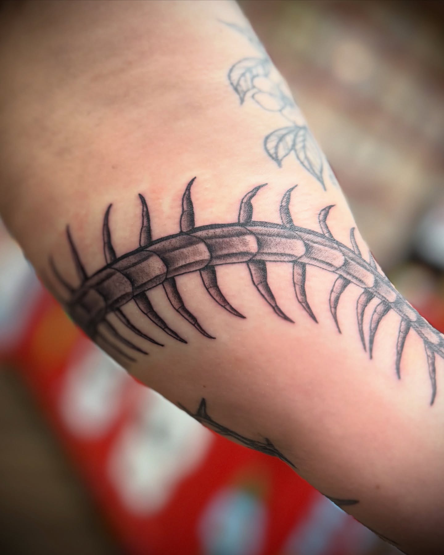 Spine black and grey tattoo on the forearm by Justin Bianchini - New Orleans Tattoo Artist