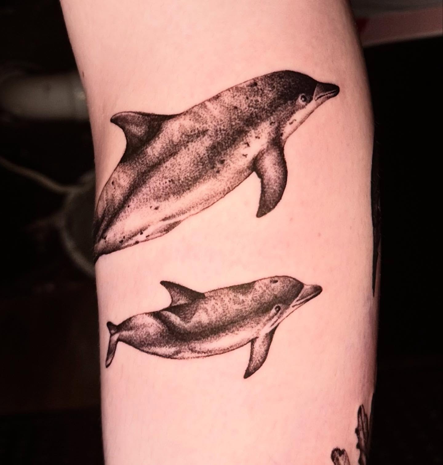 Tattoo by @noble.tattoos — dotwork