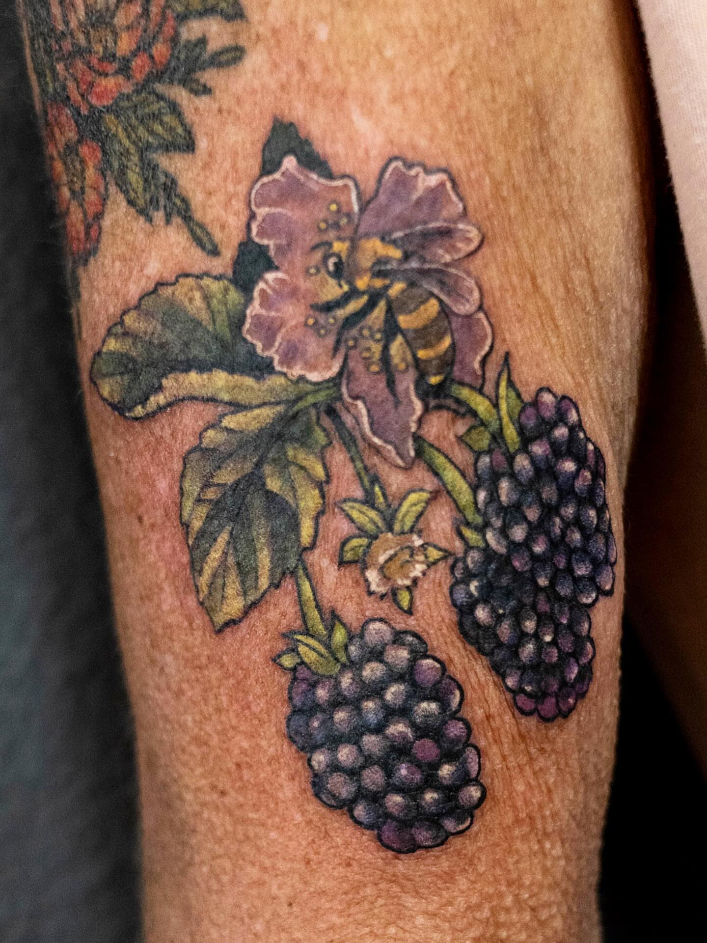 Tattoo by @melissathompsonart — realism, watercolor
