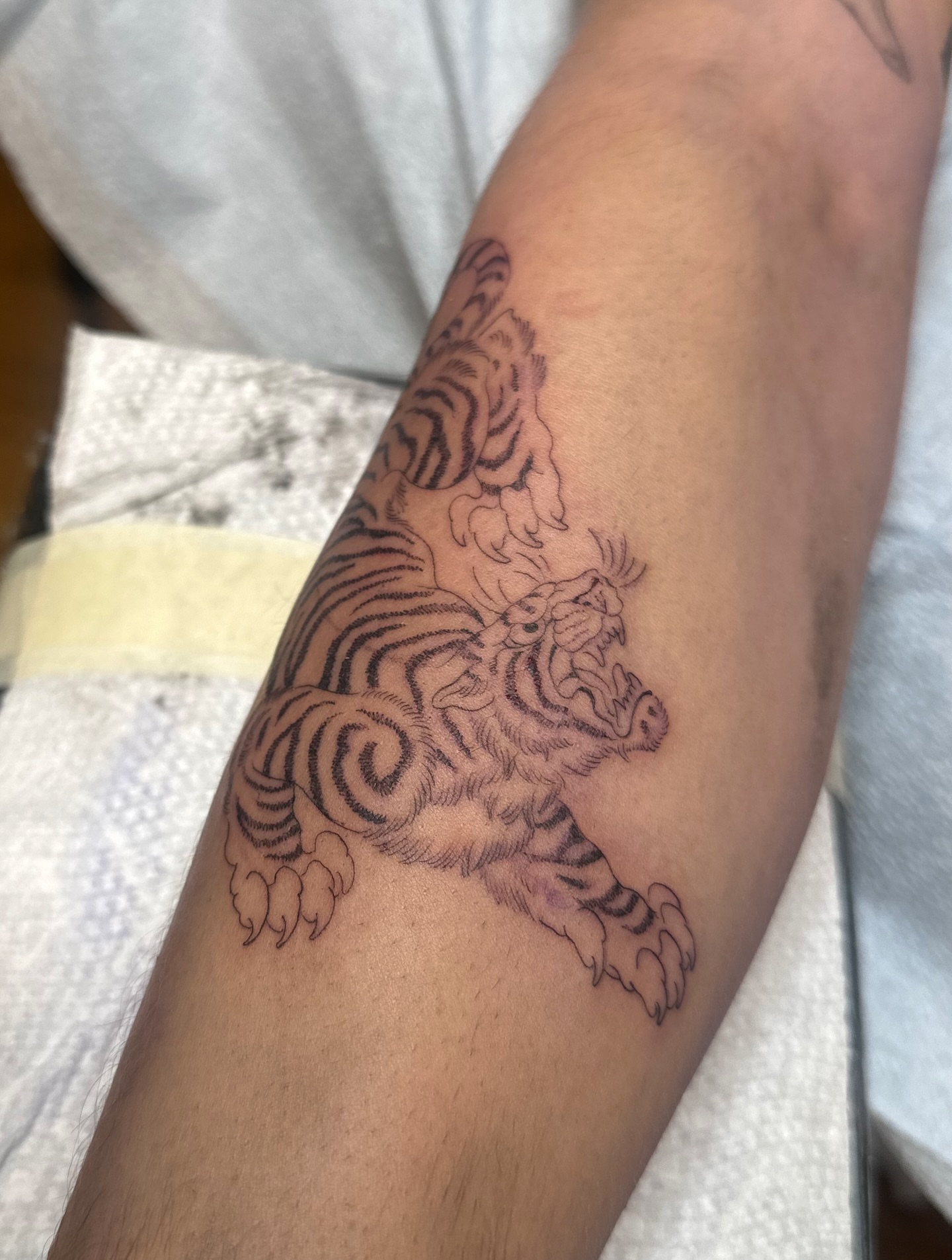 Tiger black and grey tattoo on the forearm by Адріянна Стабс 🇺🇦, New York, New York
