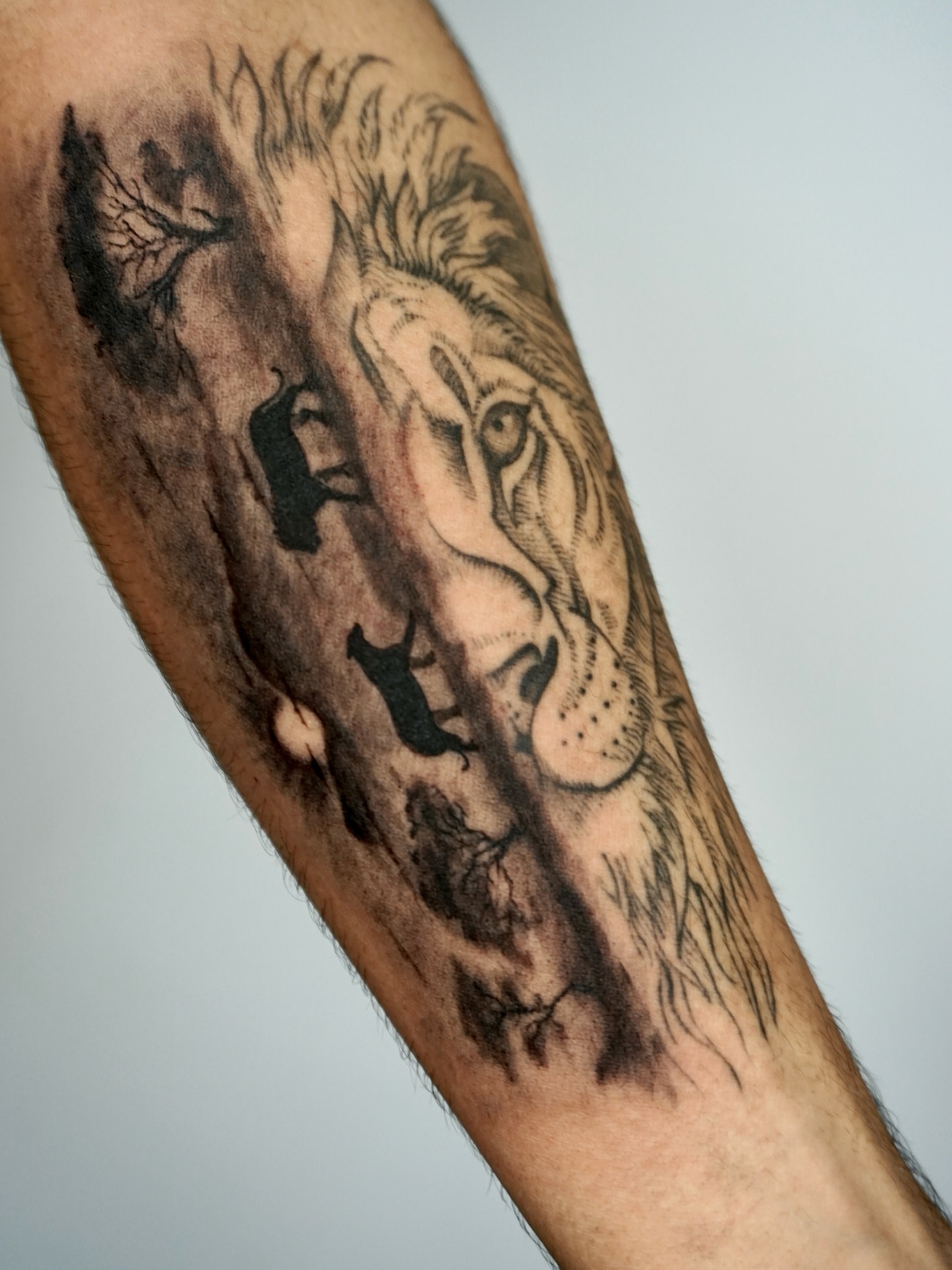 Tattoo by @kallo_tt — black_and_grey