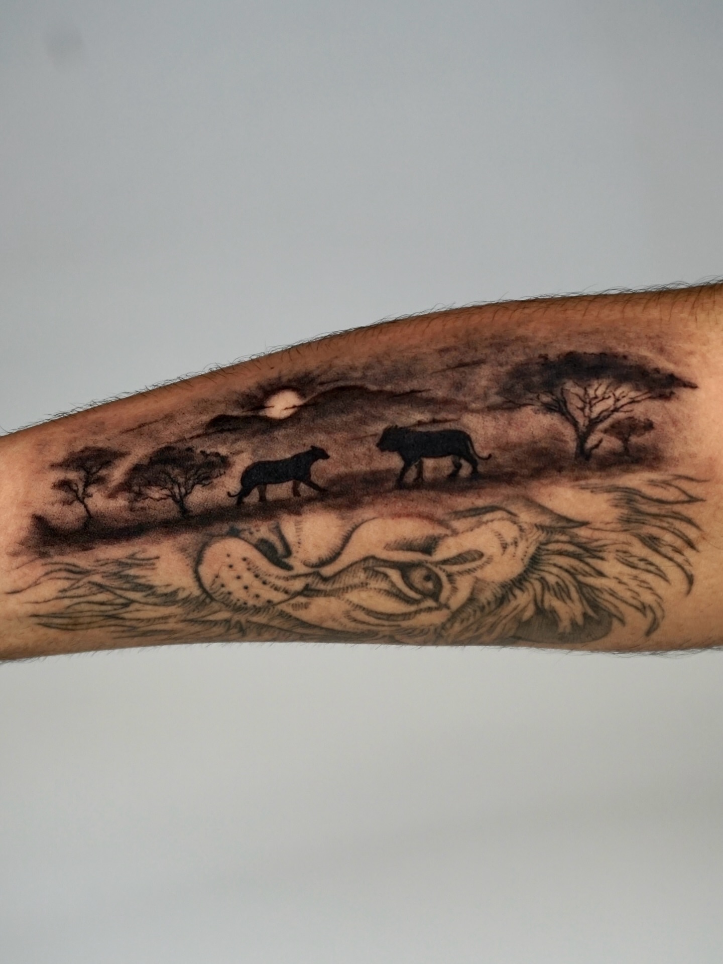Tattoo by @kallo_tt — black_and_grey, realism