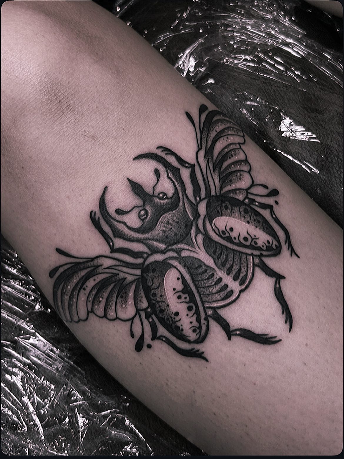 Insect black and grey tattoo on the forearm by Anna Nicole Thomas