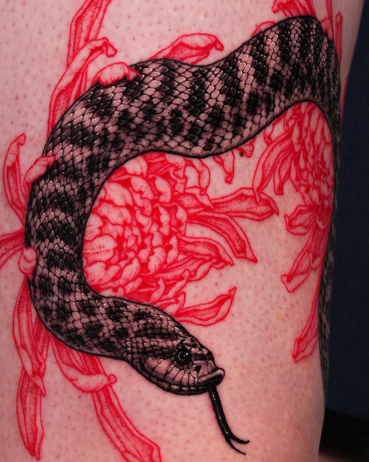 Snake and peony realism tattoo on the forearm by Intat