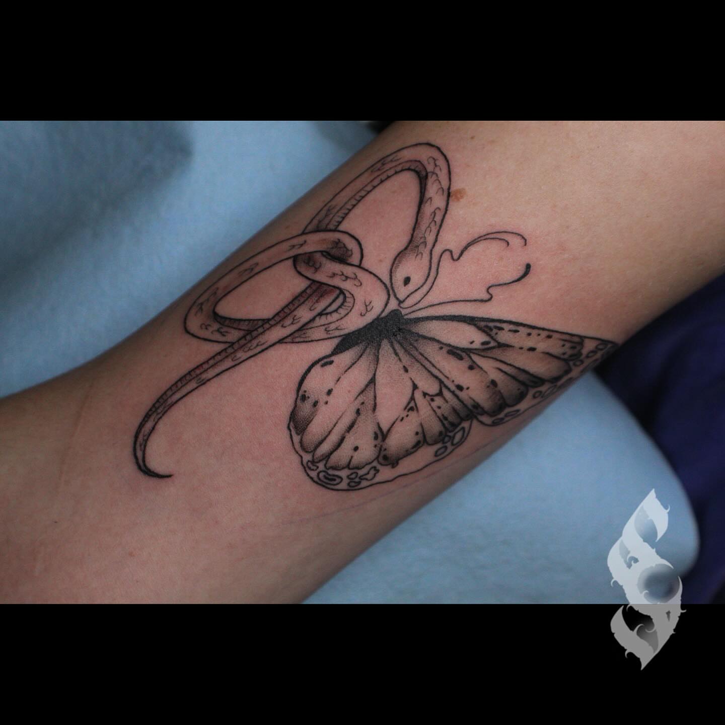 Octopus and butterfly realism tattoo on the forearm by Amanda Stampfly