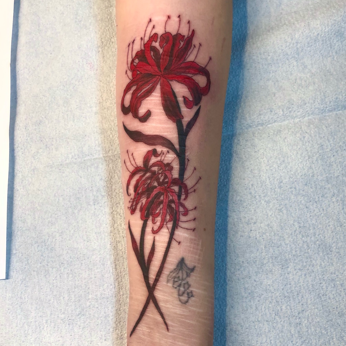 Tattoo by @aidabtattoo — dotwork