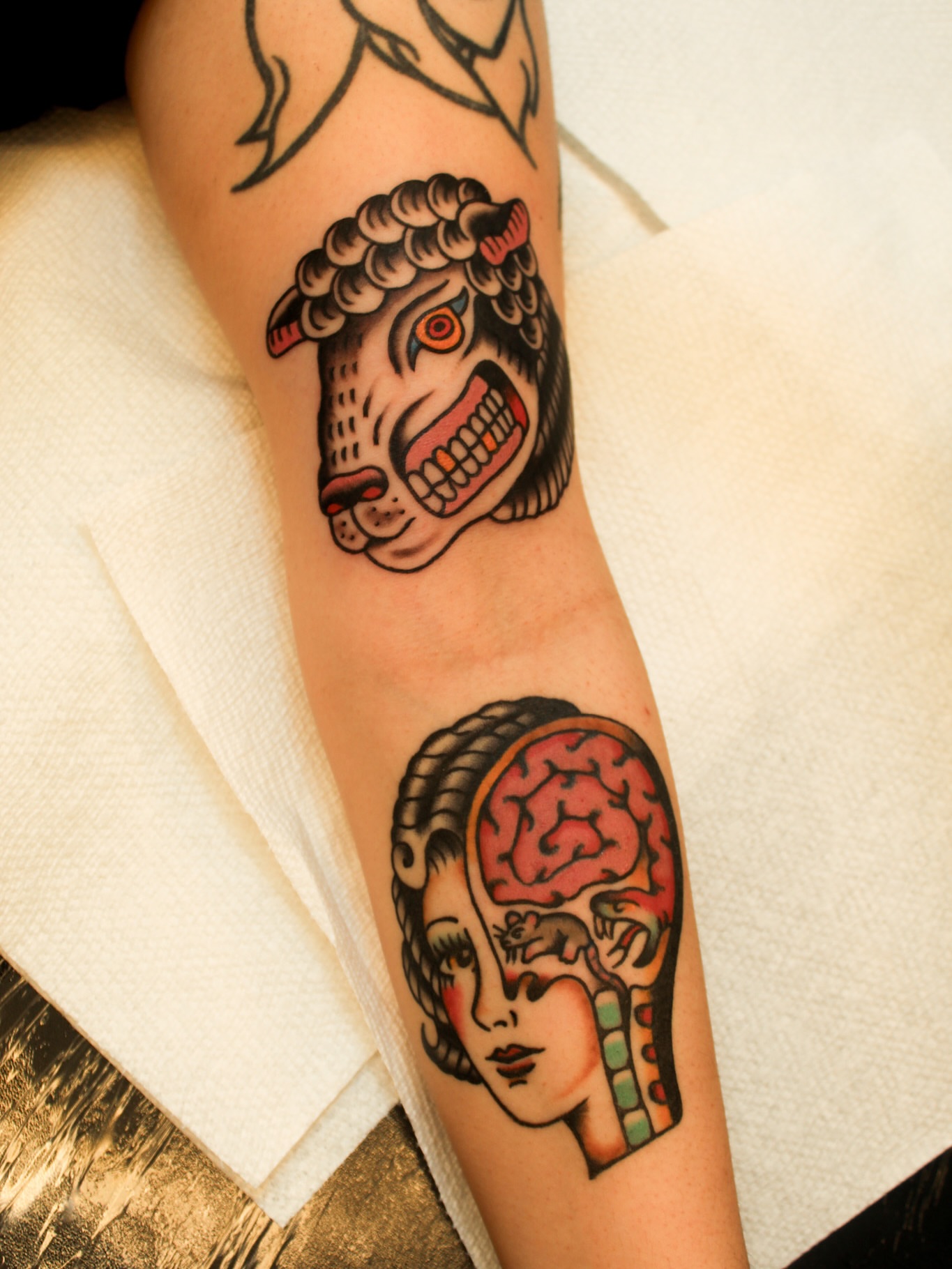 Sheep head and brain American traditional tattoo on the forearm by Kehrmie Tattoos, Berkeley, California