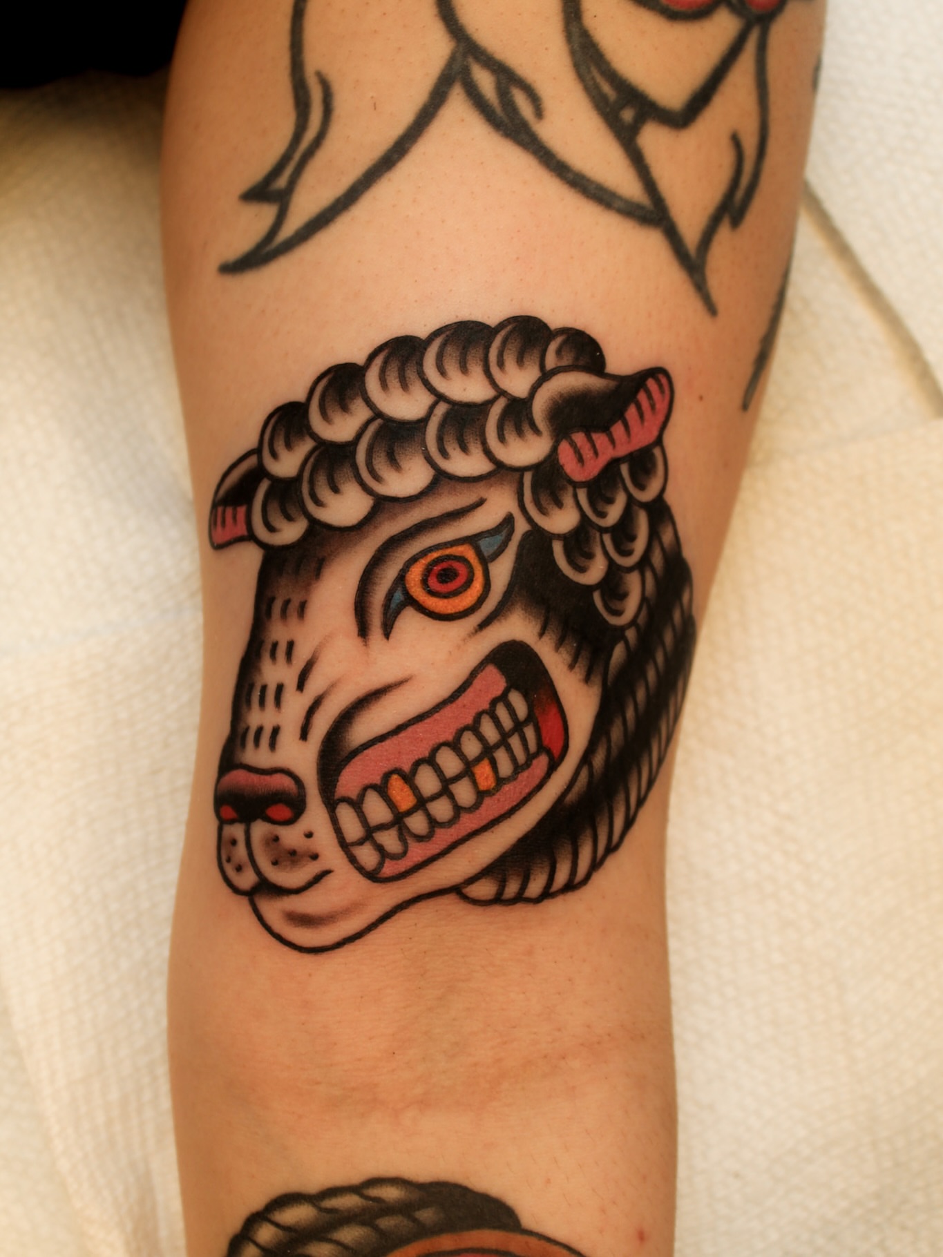 Sheep head American traditional tattoo on the forearm by Kehrmie Tattoos, Berkeley, California