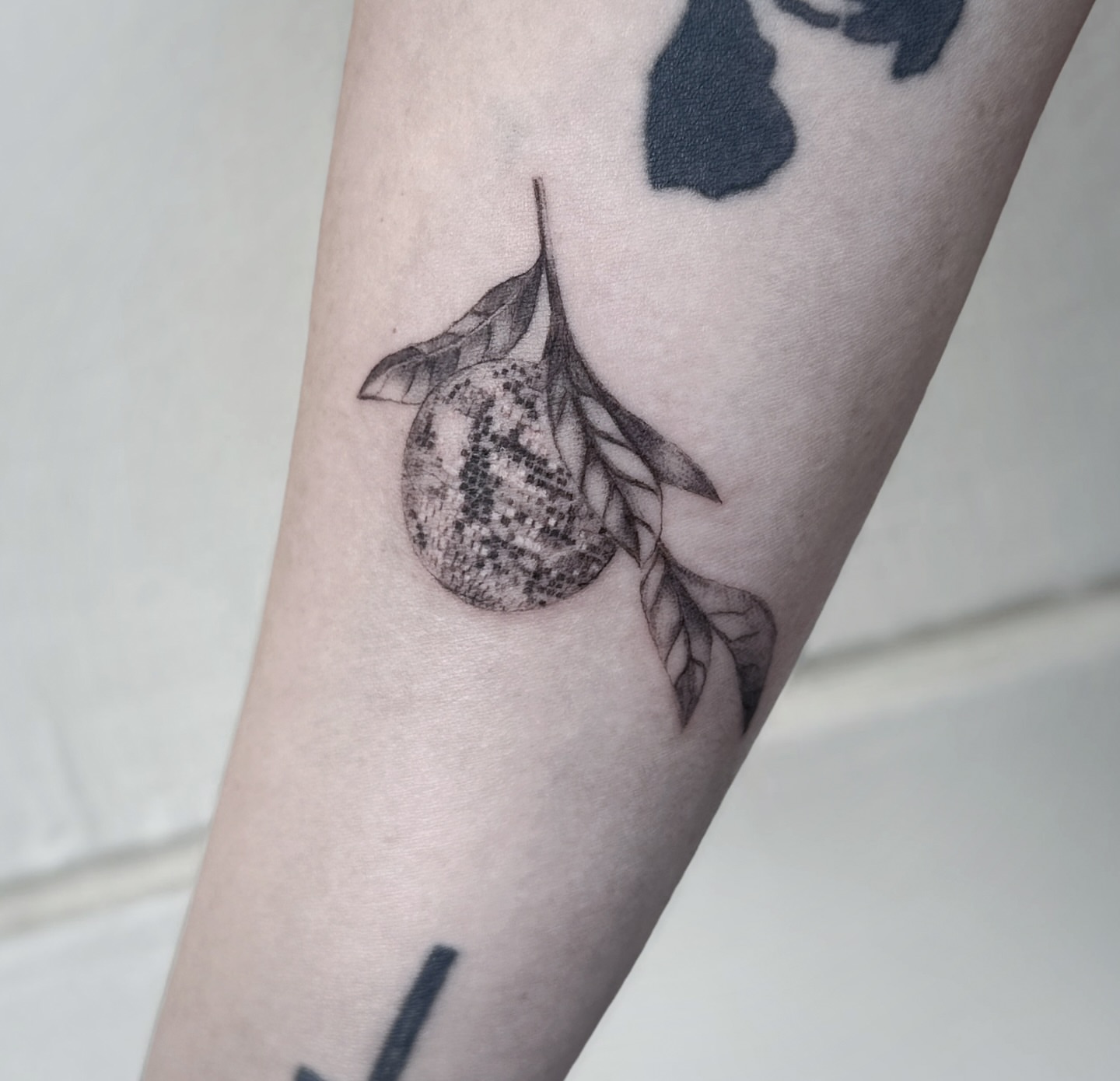 Fruit with leaves dotwork tattoo on the forearm by Raleigh tattoo artist, Raleigh, North Carolina