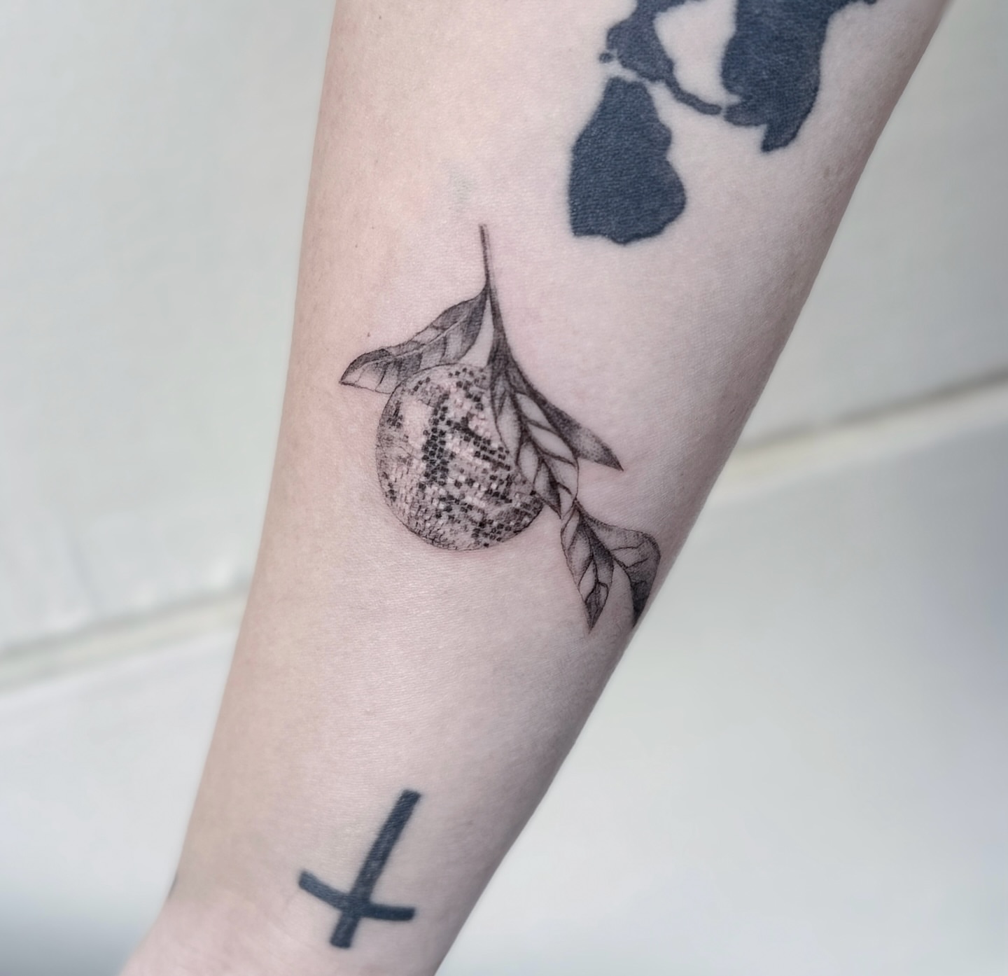 Fruit with leaves dotwork tattoo on the forearm by Raleigh tattoo artist, Raleigh, North Carolina