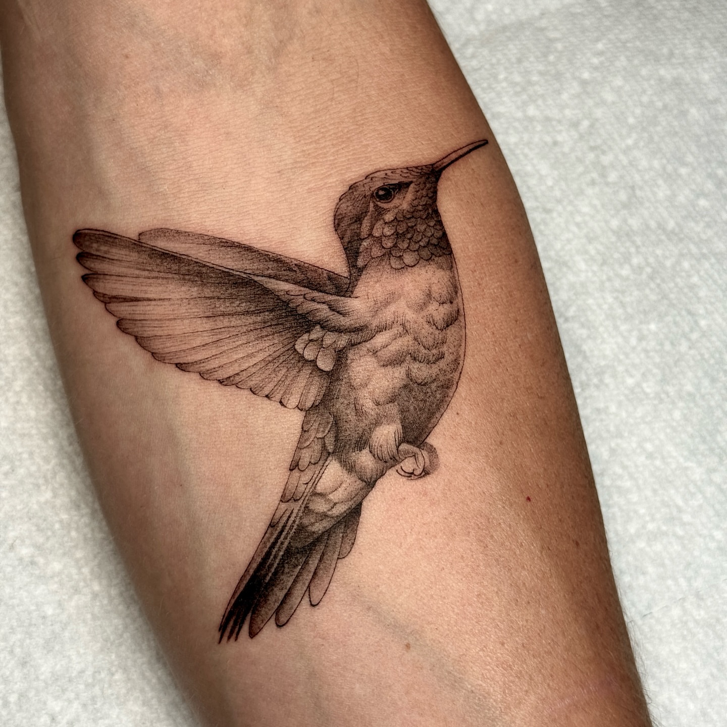 Hummingbird realism tattoo on the forearm by Molly Murray