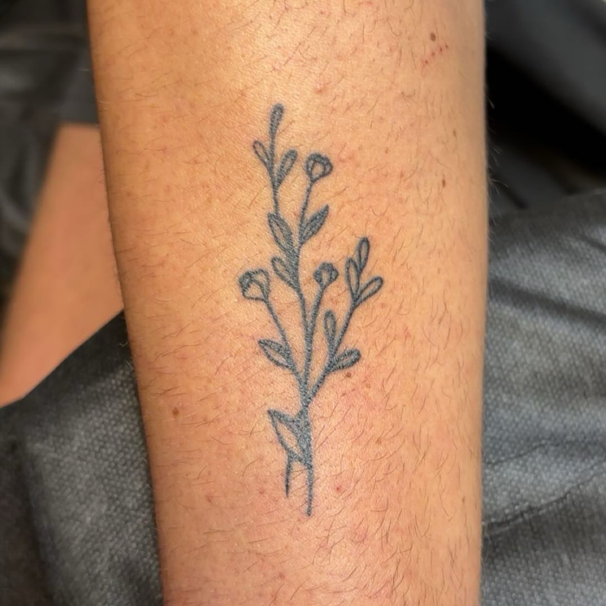 Plant stem black and grey tattoo on the forearm by Molly Dixon