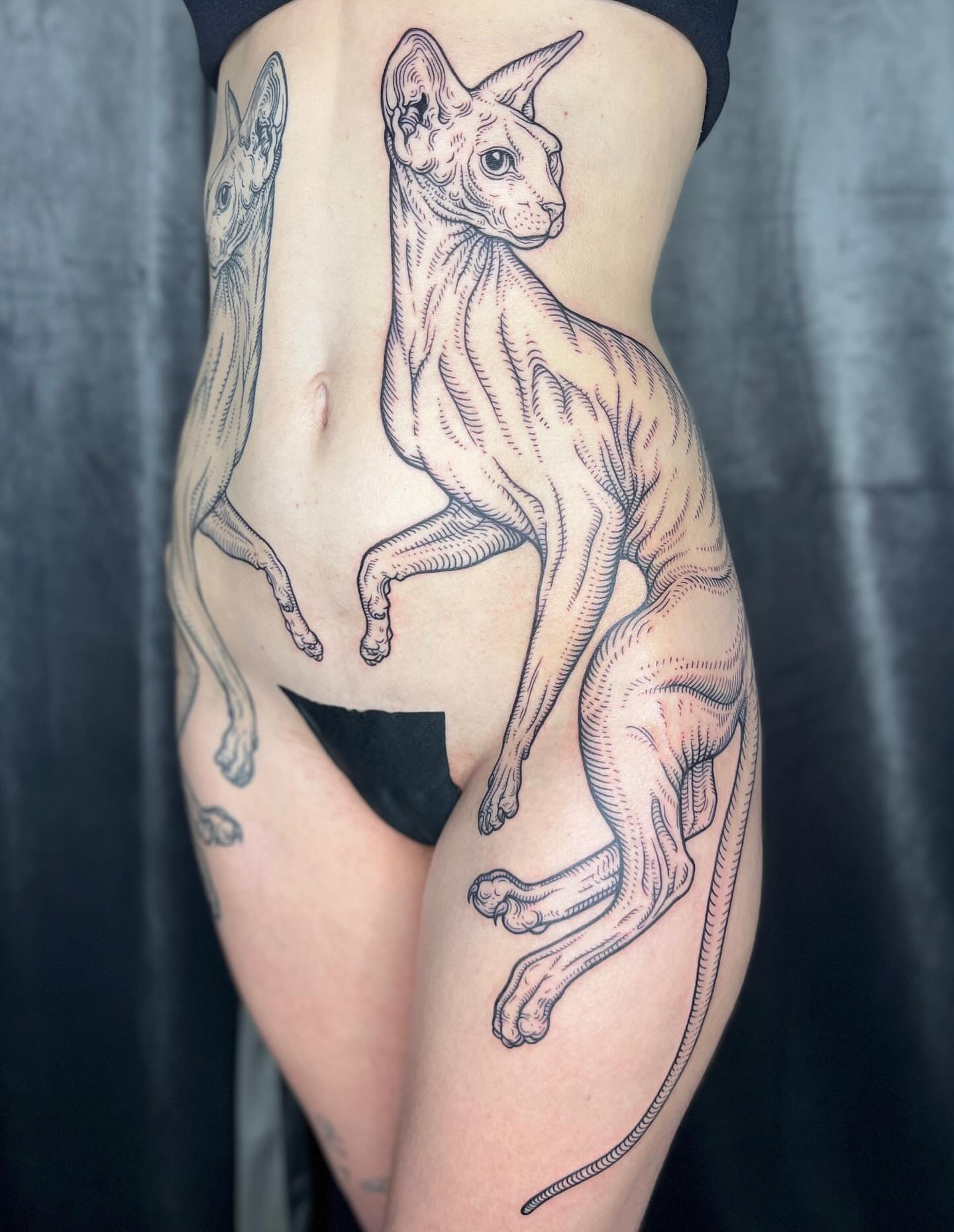 Sphynx cat black and grey tattoo on the thigh by โฃ ๐ฝ๐๐๐๐๐ ๐ฟ๐๐๐๐๐๐๐๐๐๐๐ โฃ