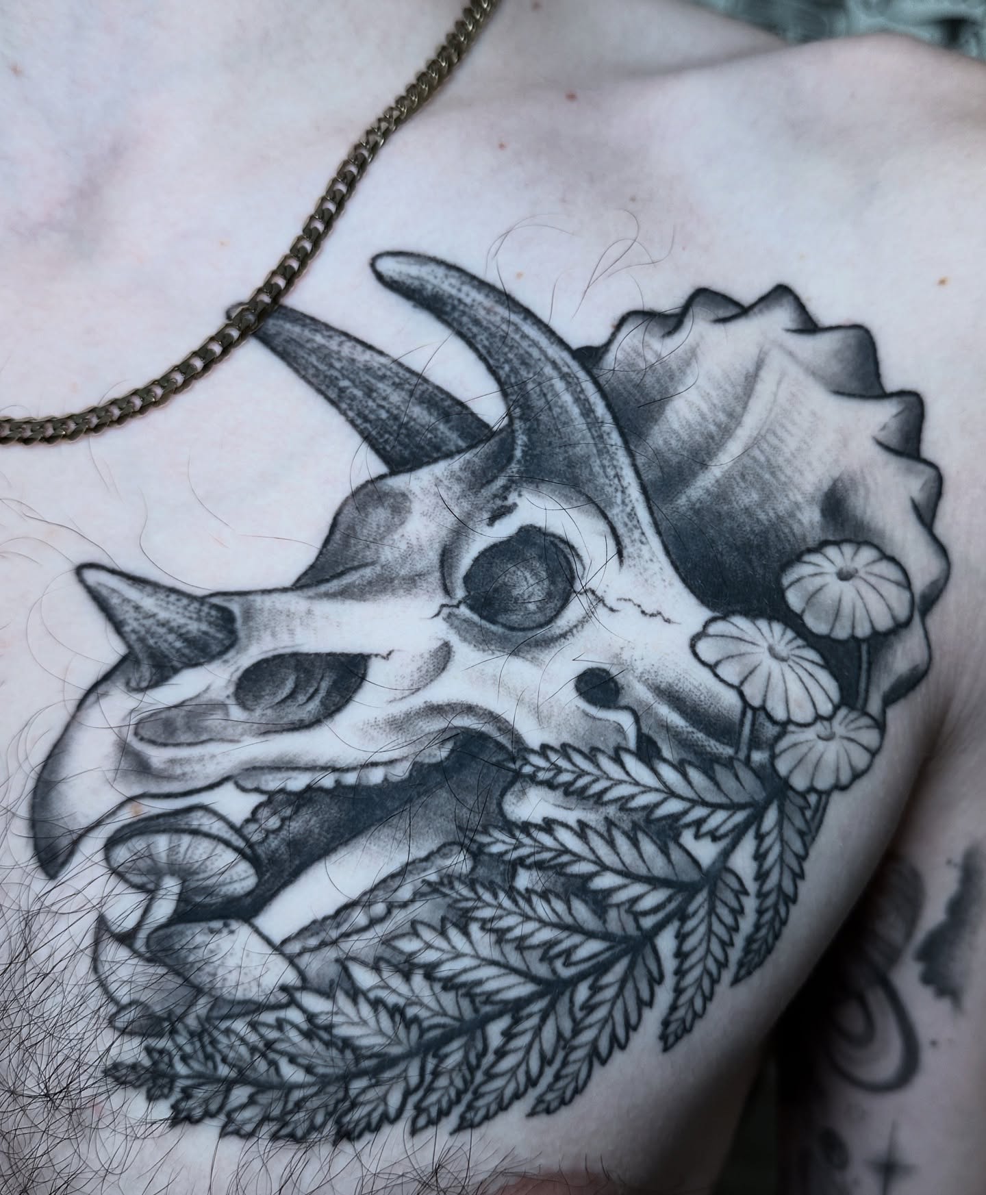 Tattoo by @caitycat.tattoos — black_and_grey, realism