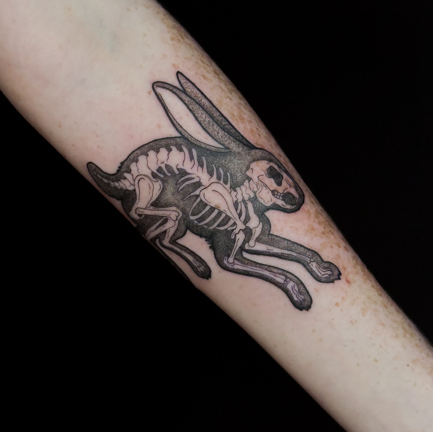 Rabbit skeleton black and grey tattoo on the forearm by Sarah Sacco