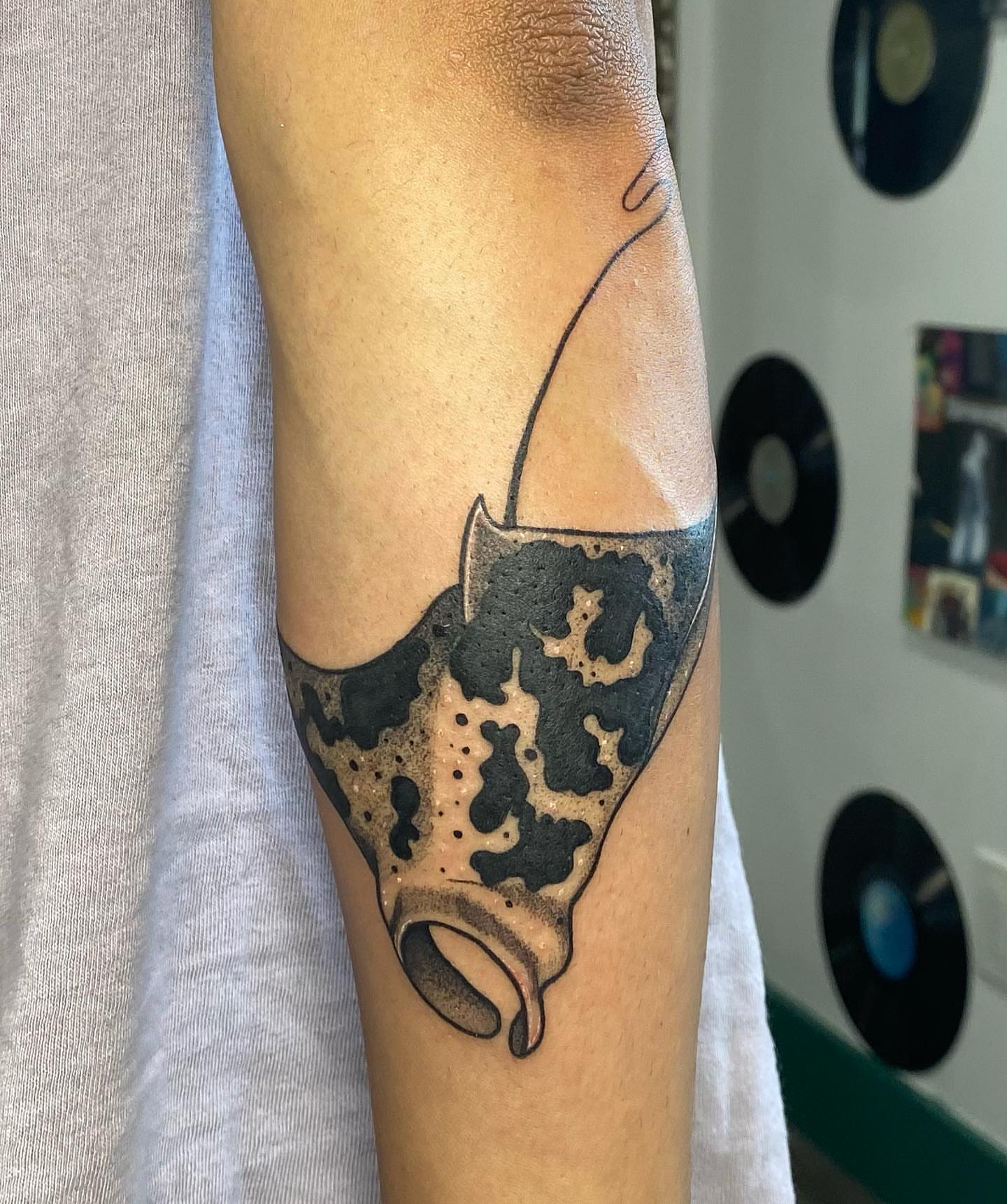 Conch shell dotwork tattoo on the forearm by Maddie Neibert