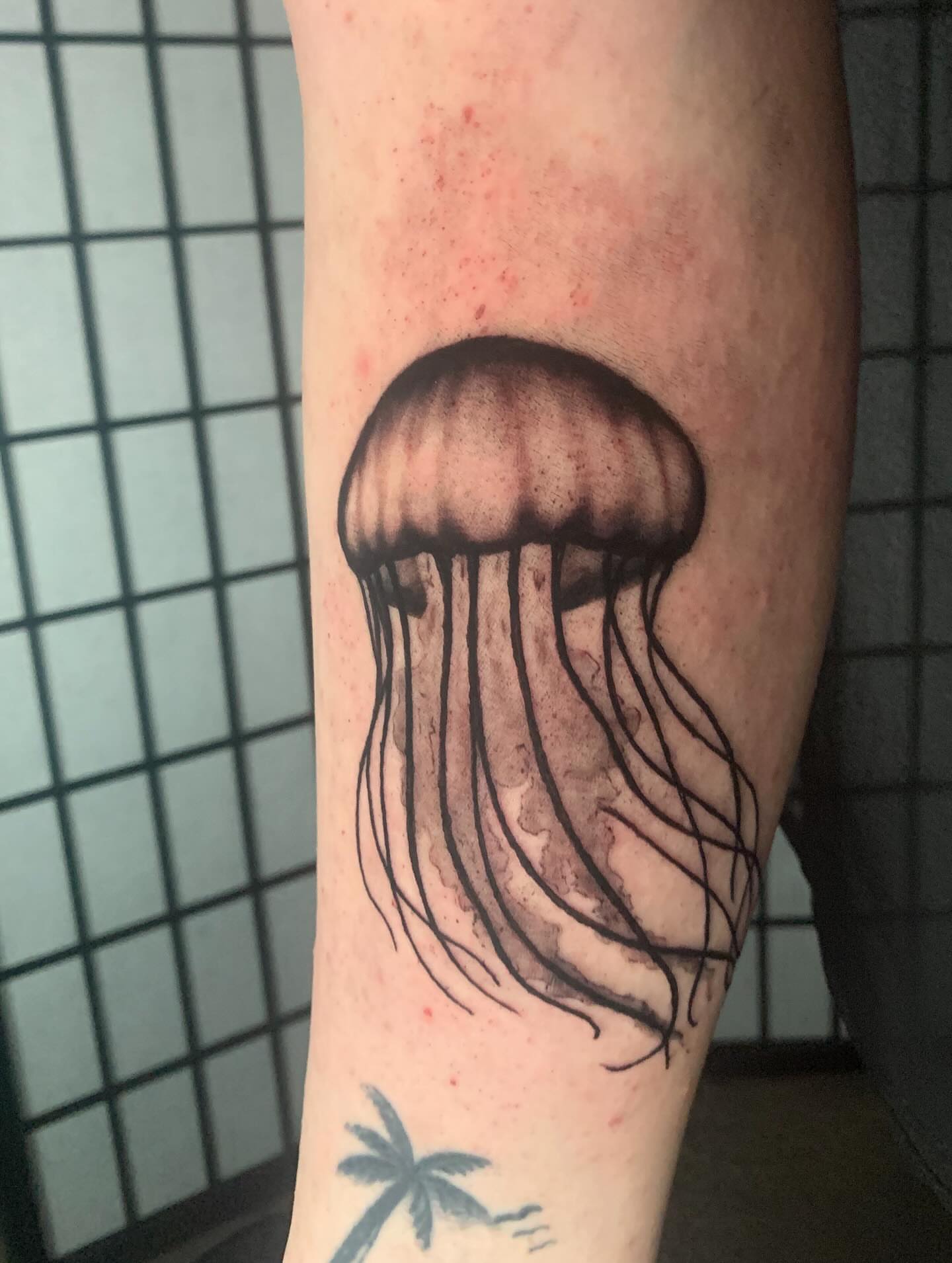 Jellyfish black and grey tattoo on the forearm by Devon
