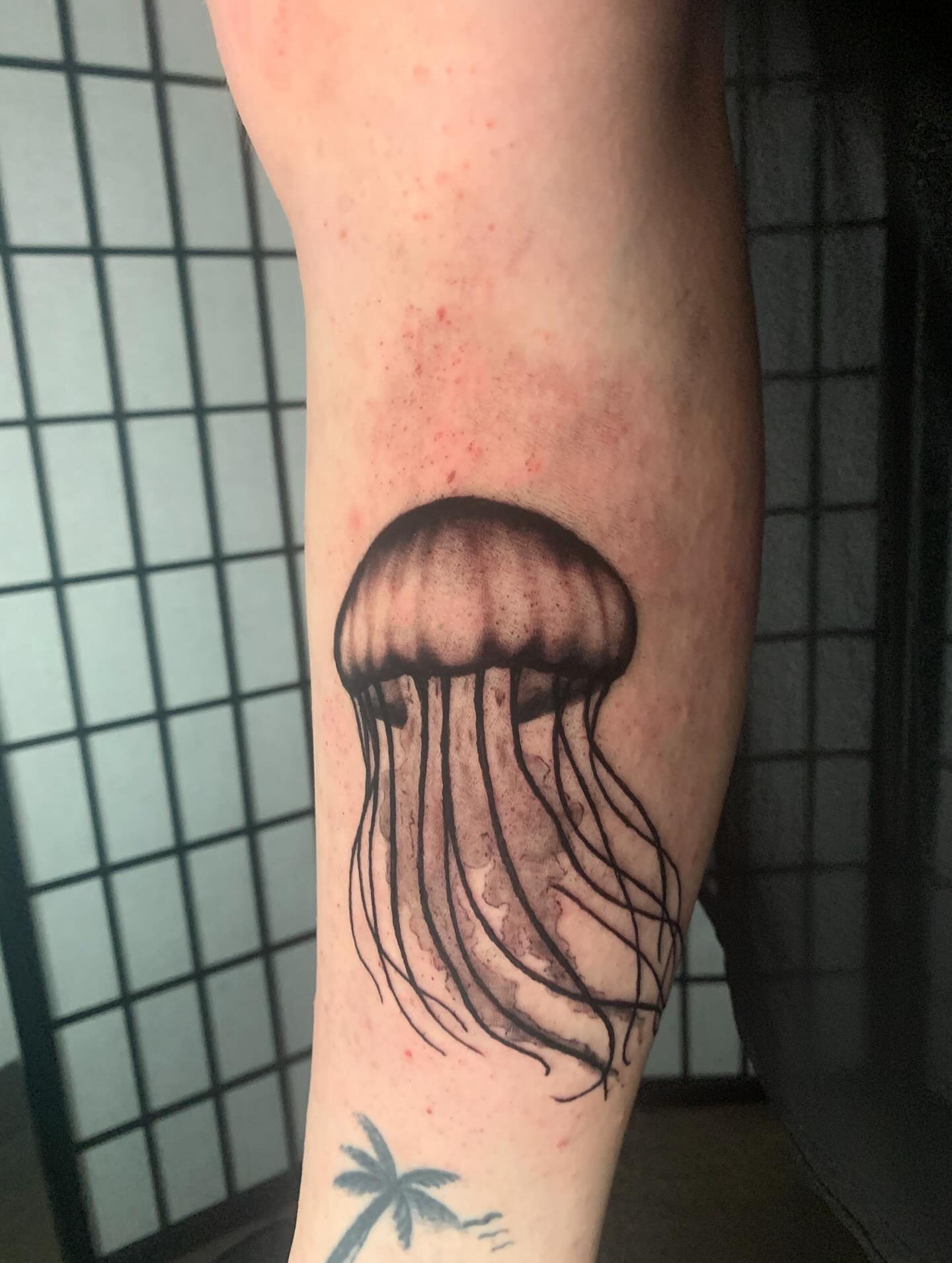 Jellyfish black and grey tattoo on the forearm by Devon
