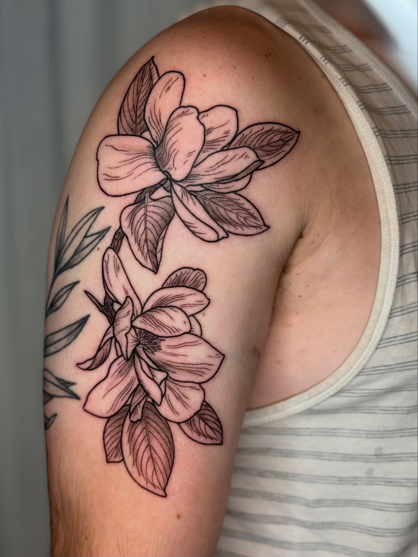Magnolia flowers black and grey tattoo on the shoulder by Cooper