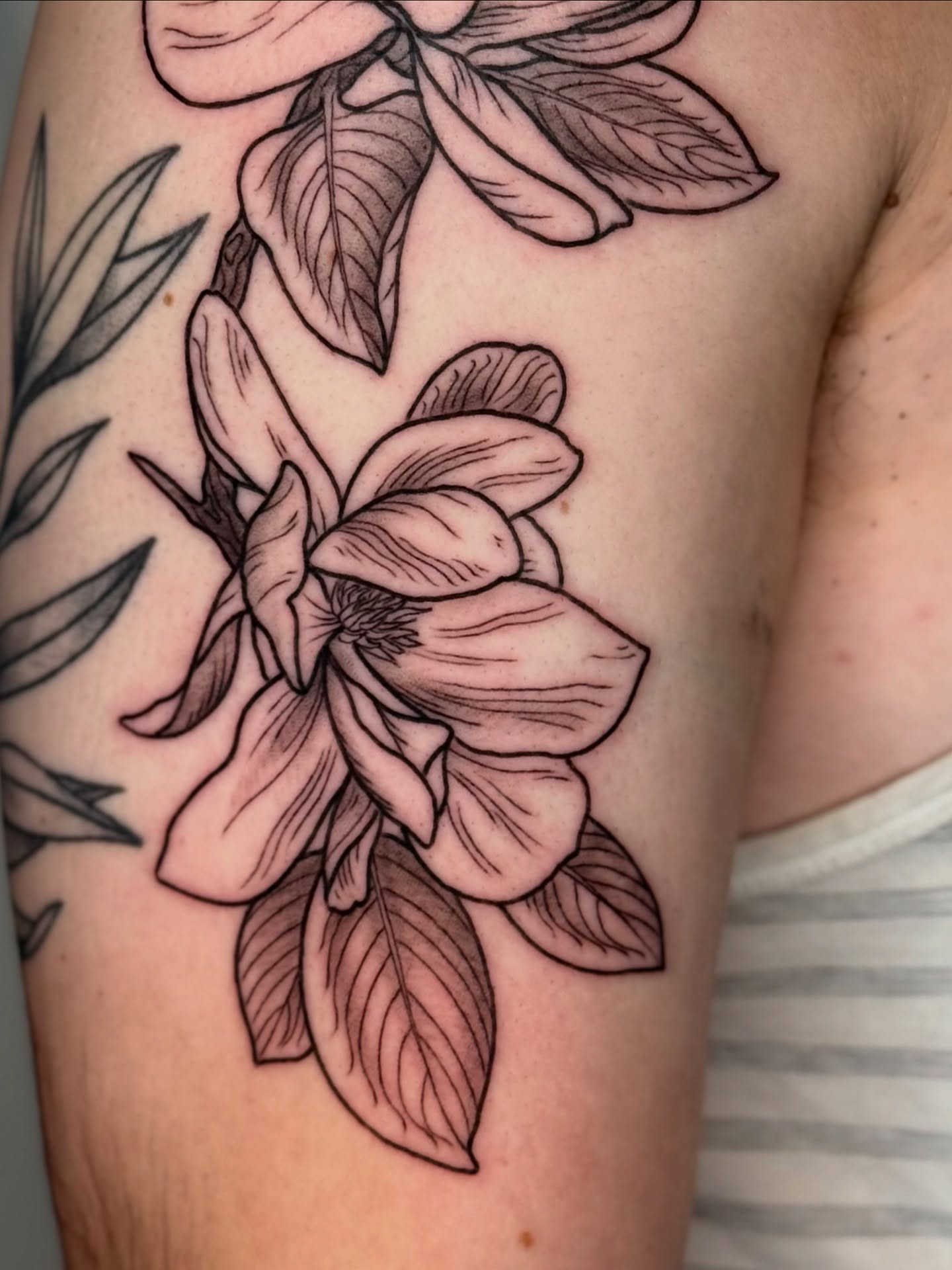 Magnolia flower black and grey tattoo on the upper arm by Cooper