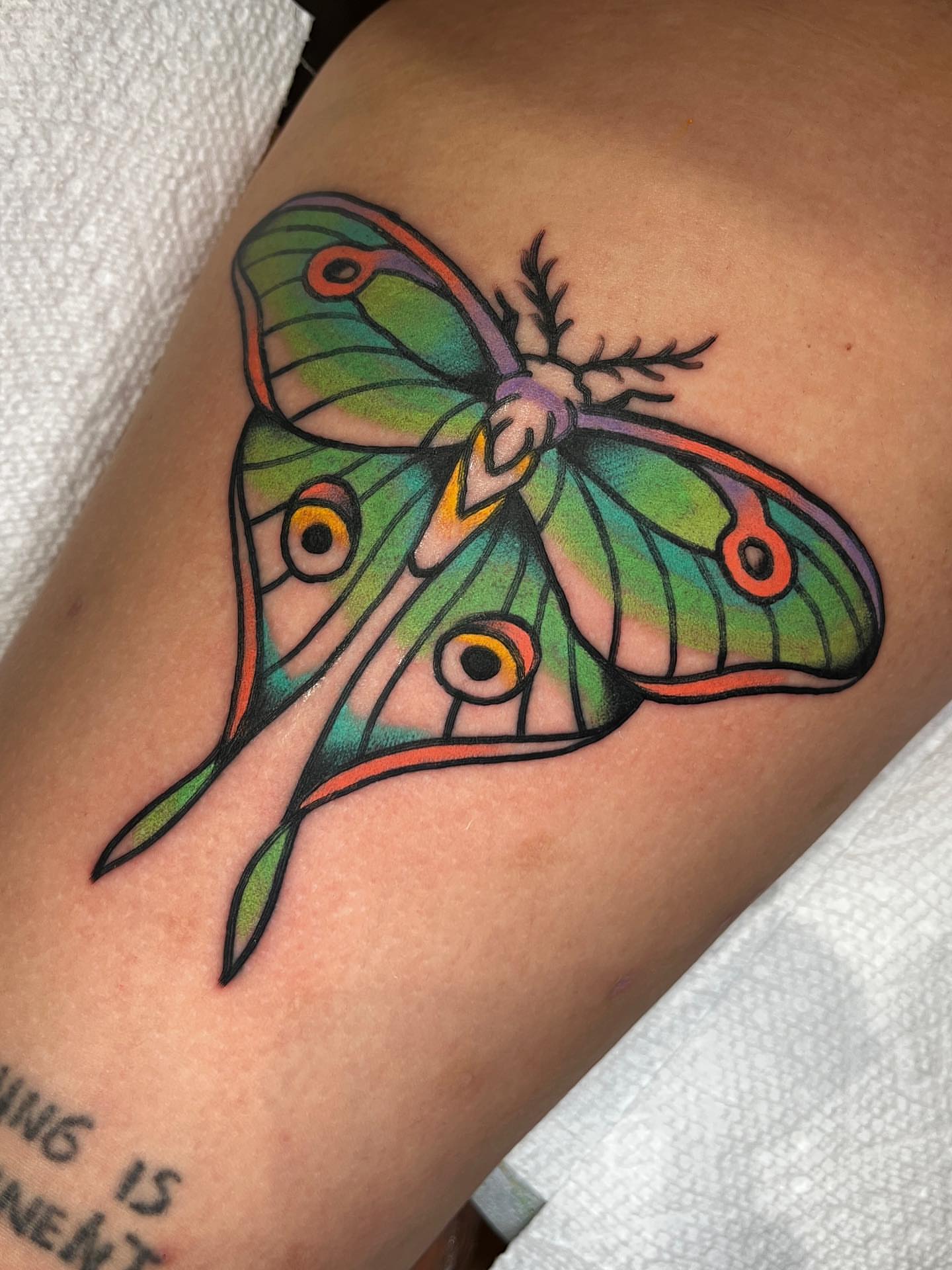 Moth American traditional tattoo on the thigh by Charlie Ostrom, Durham, North Carolina