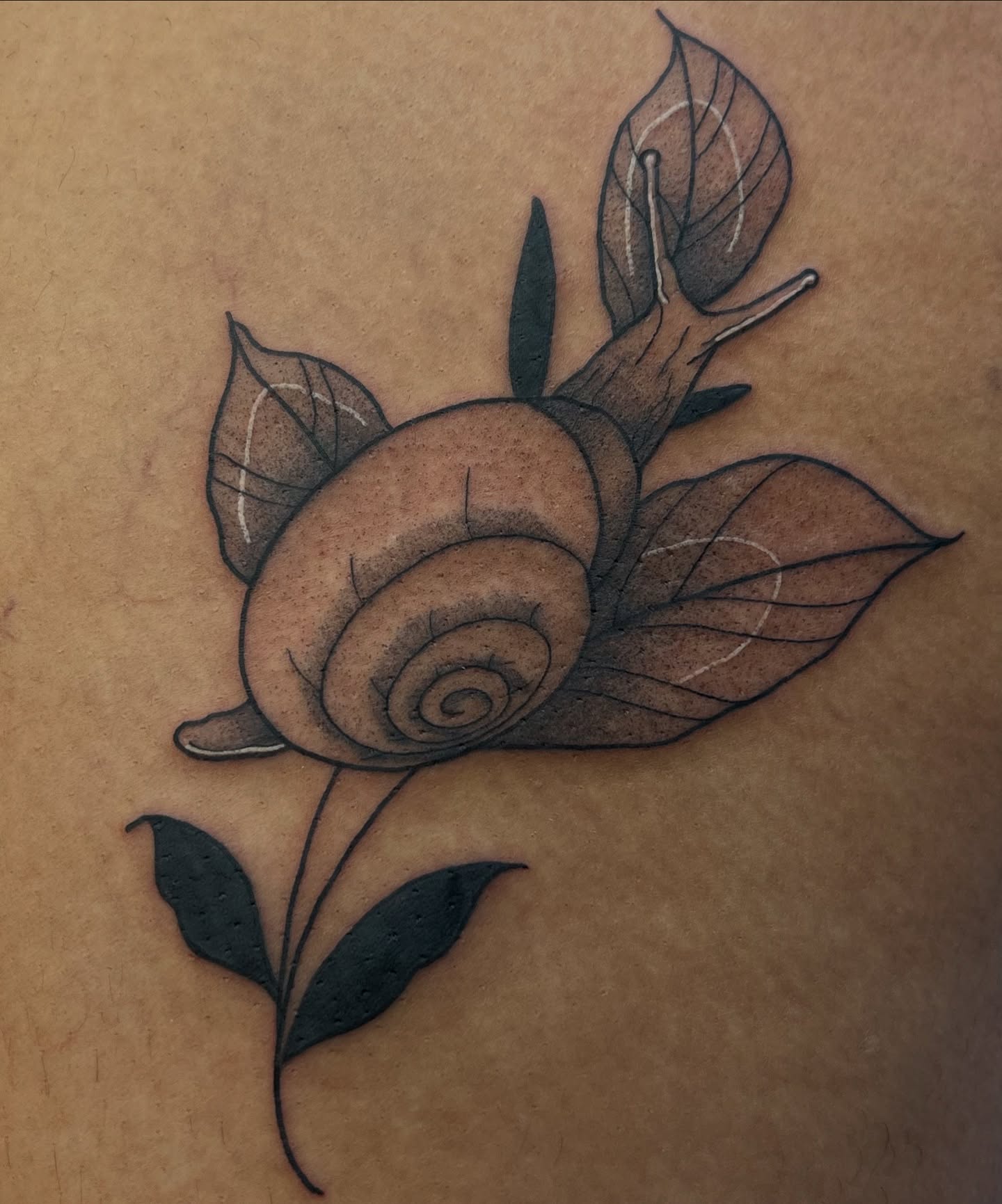Snail and leaf black and grey tattoo by Leslie Paskoff