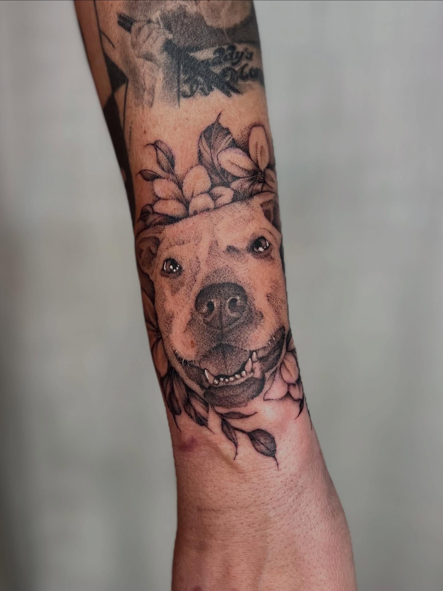 Pitbull realism tattoo on the forearm by Ash F