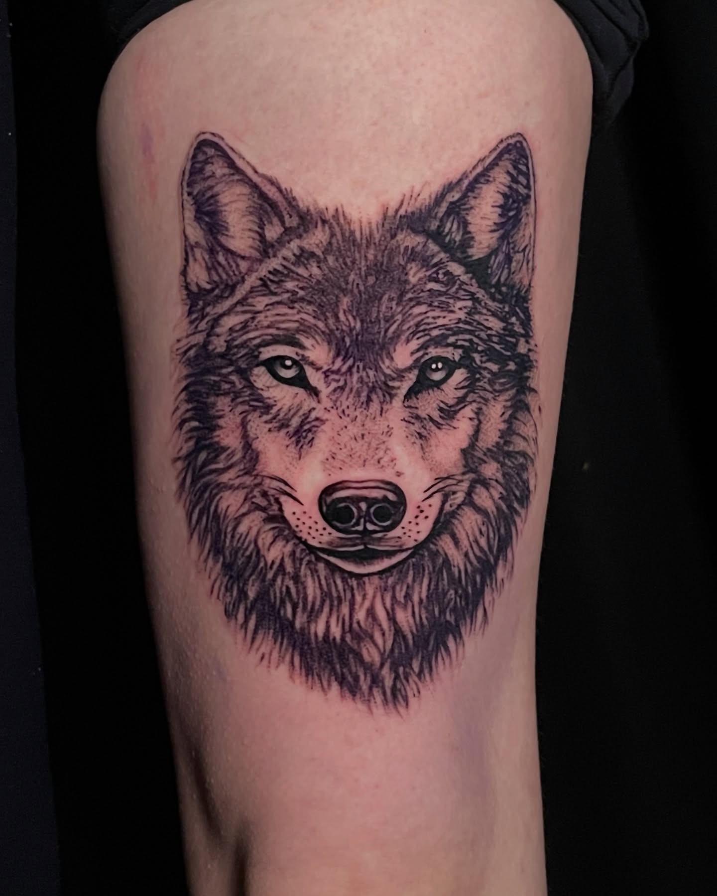Wolf realism tattoo on the thigh by Austin Clark