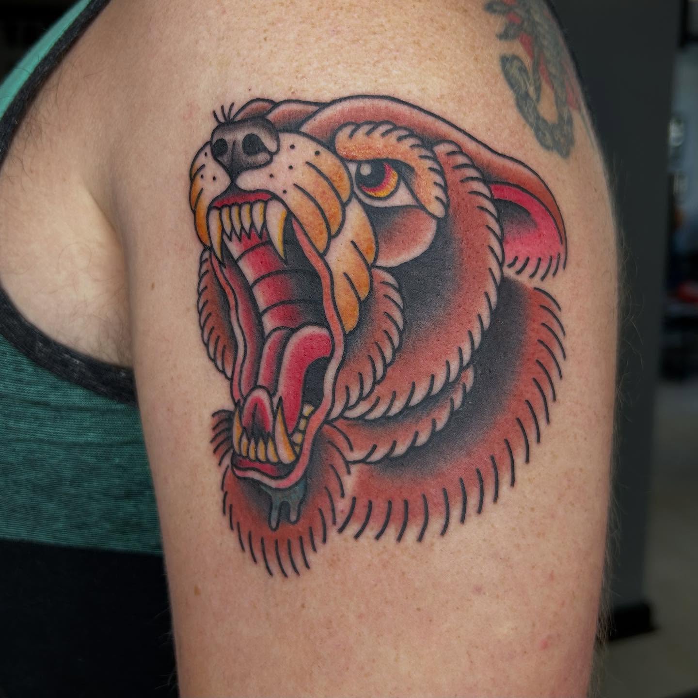 Roaring bear American traditional tattoo on the shoulder by Bregan ✨