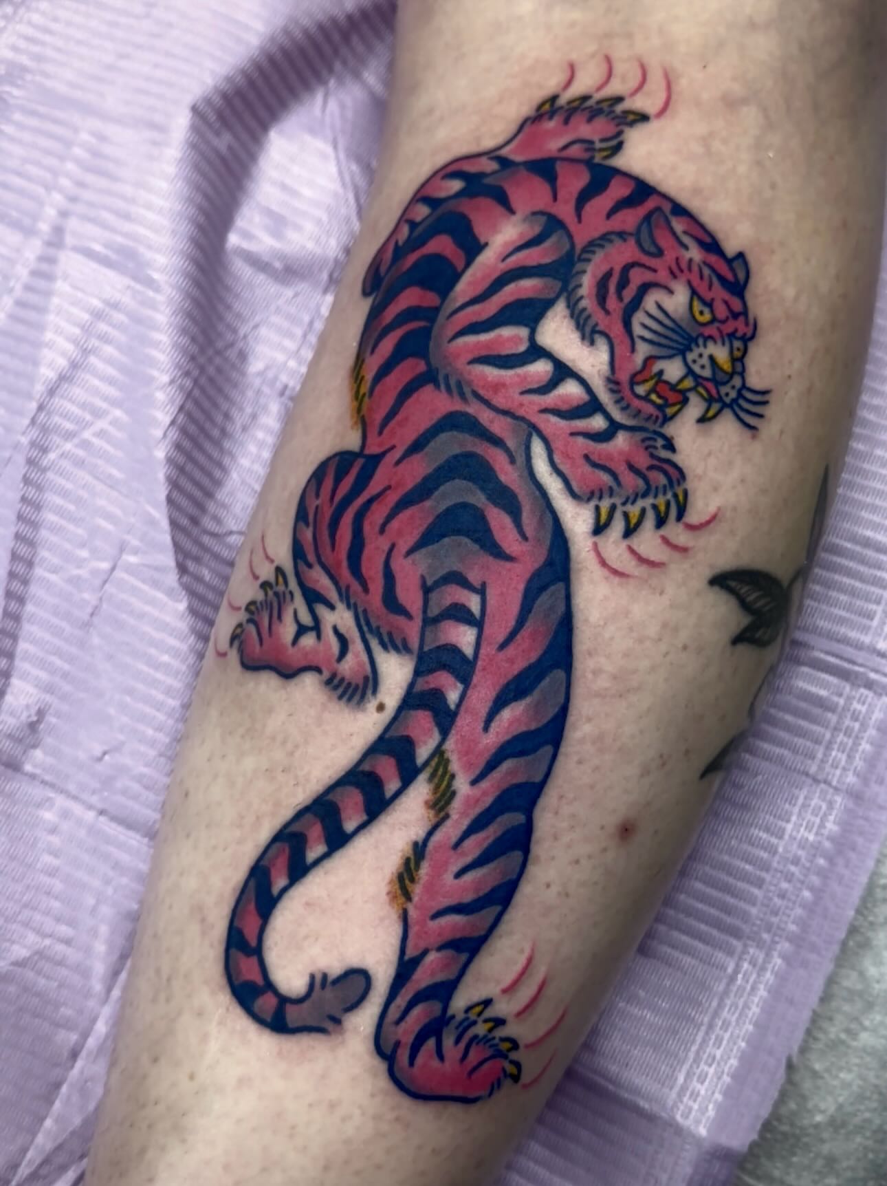Tiger American traditional tattoo on the forearm by Olive Kelley