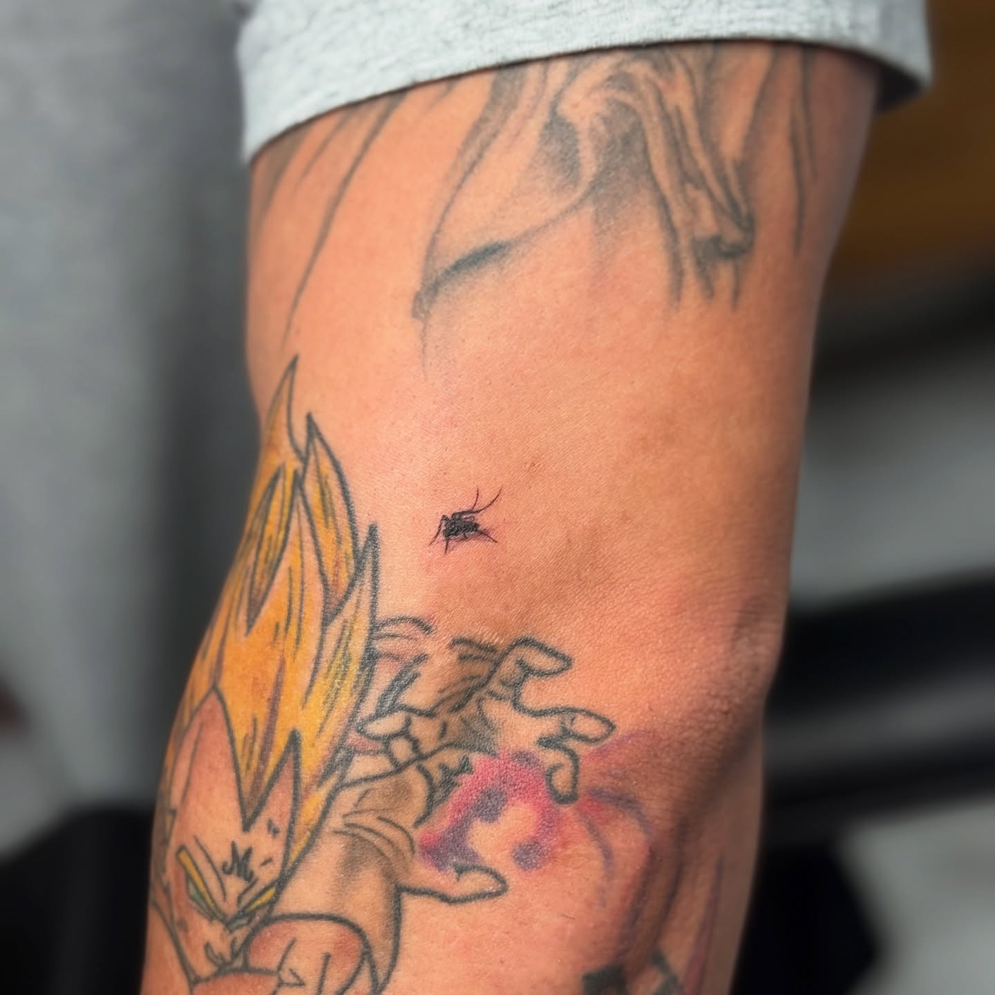 Mosquito dotwork tattoo on the forearm by Lacee-Beth Finch