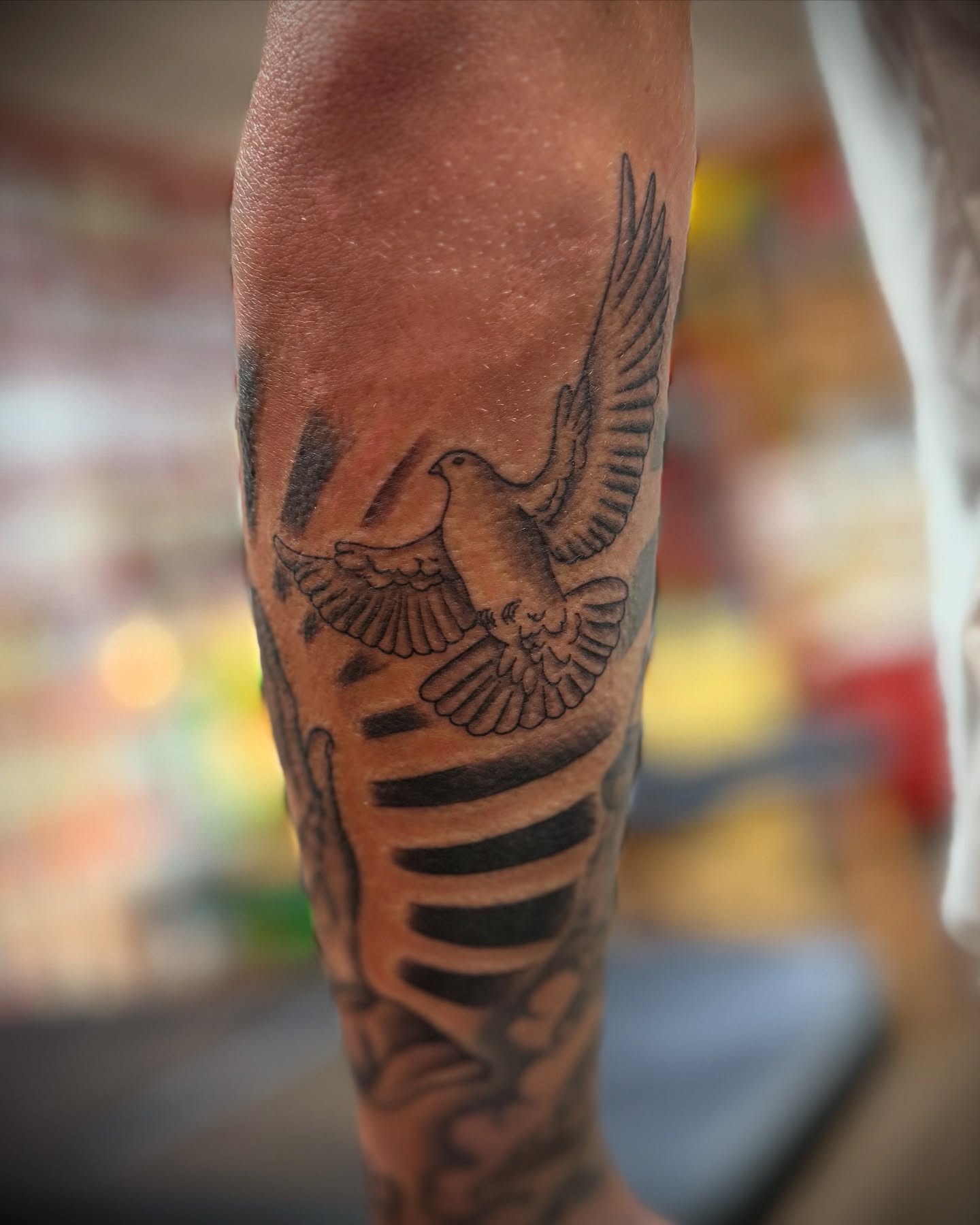 Dove black and grey tattoo on the forearm by Justin Bianchini - New Orleans Tattoo Artist