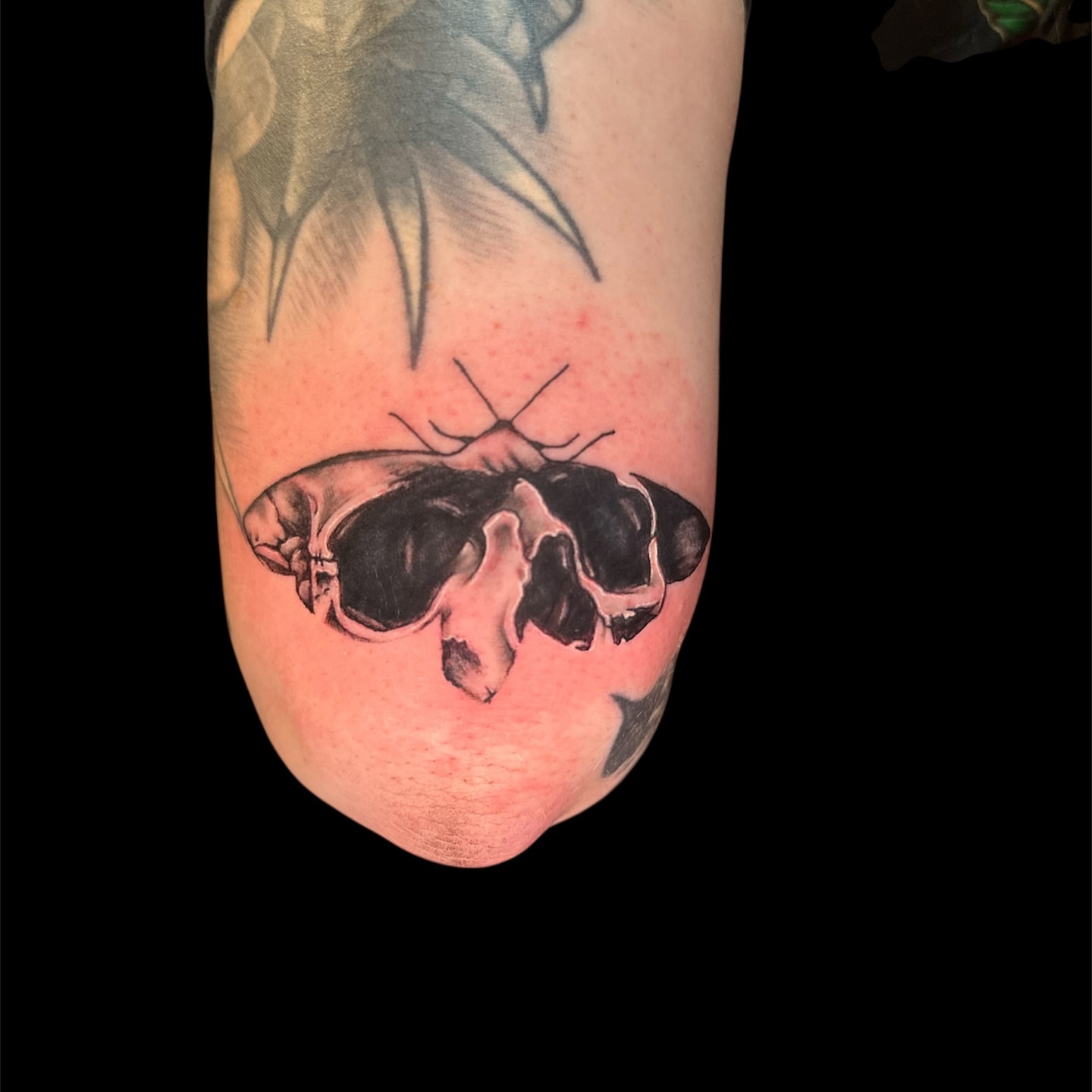 Tattoo by @tattyourface β black_and_grey