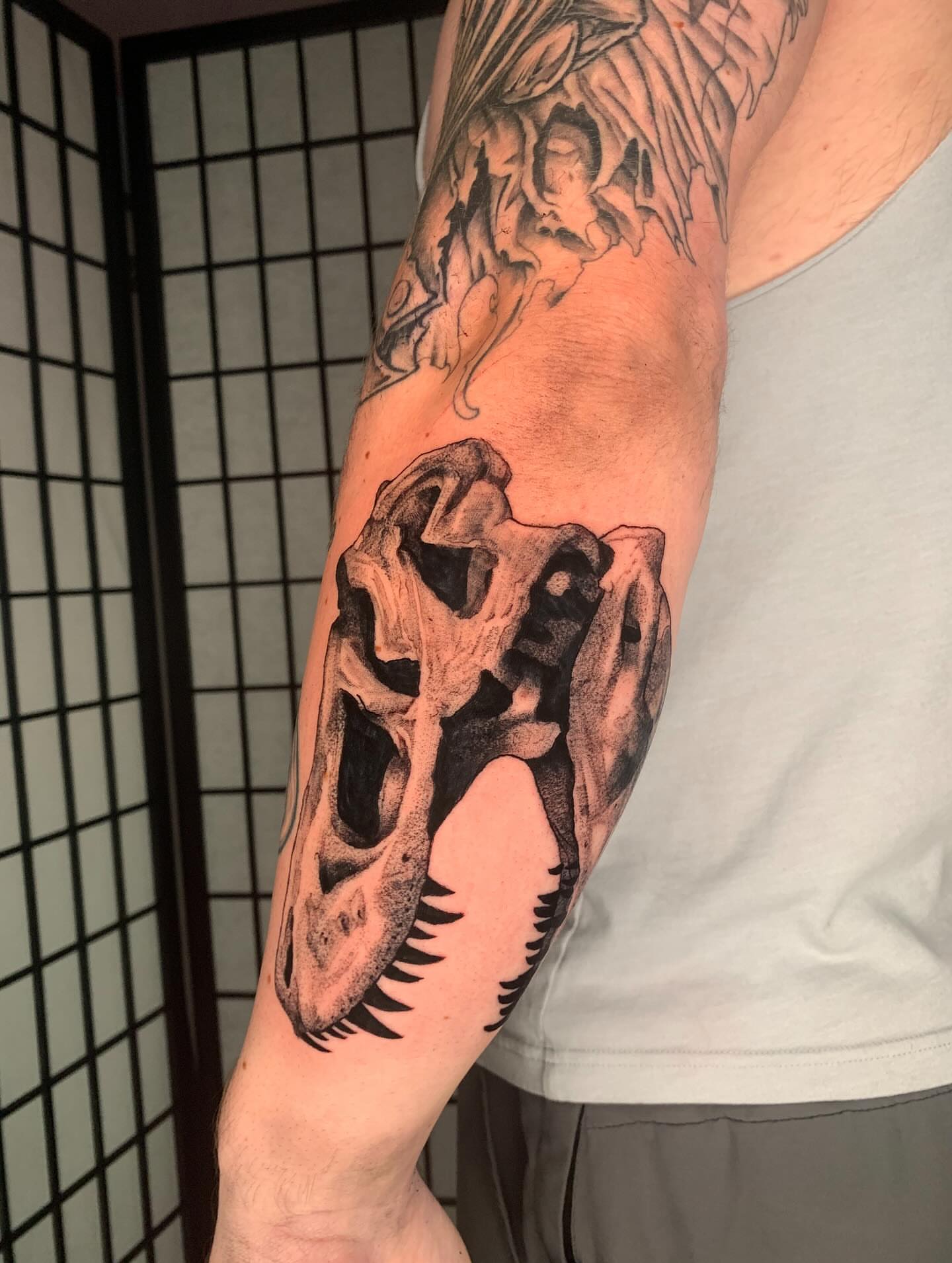 Dinosaur skull realism tattoo on the forearm by Devon